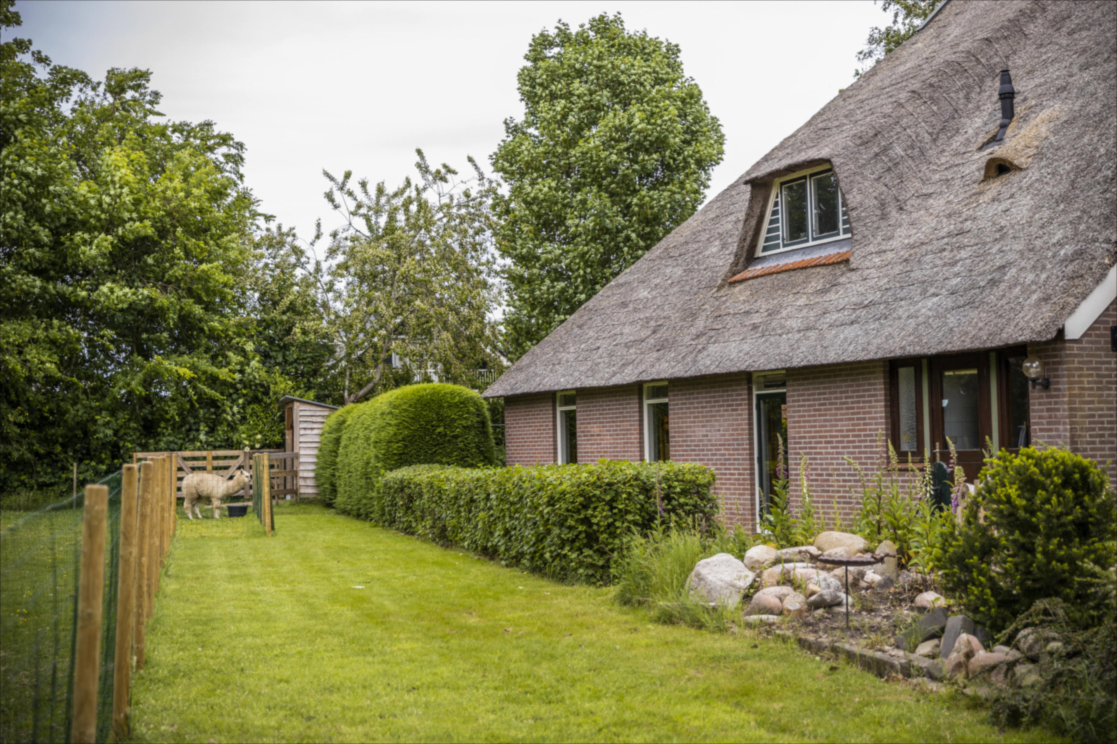 Natuurhuisje in Oudemirdum