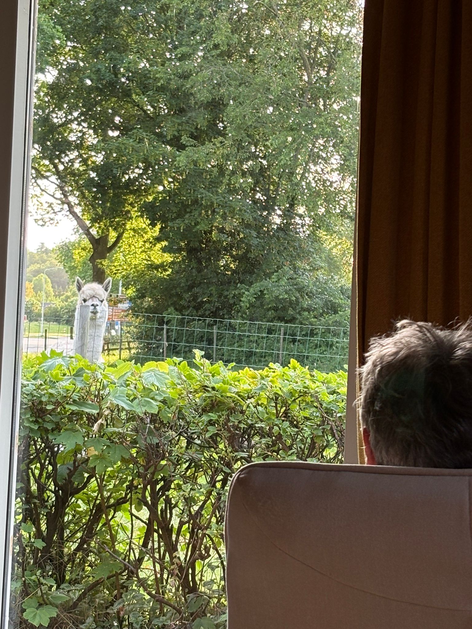 Natuurhuisje in Oudemirdum