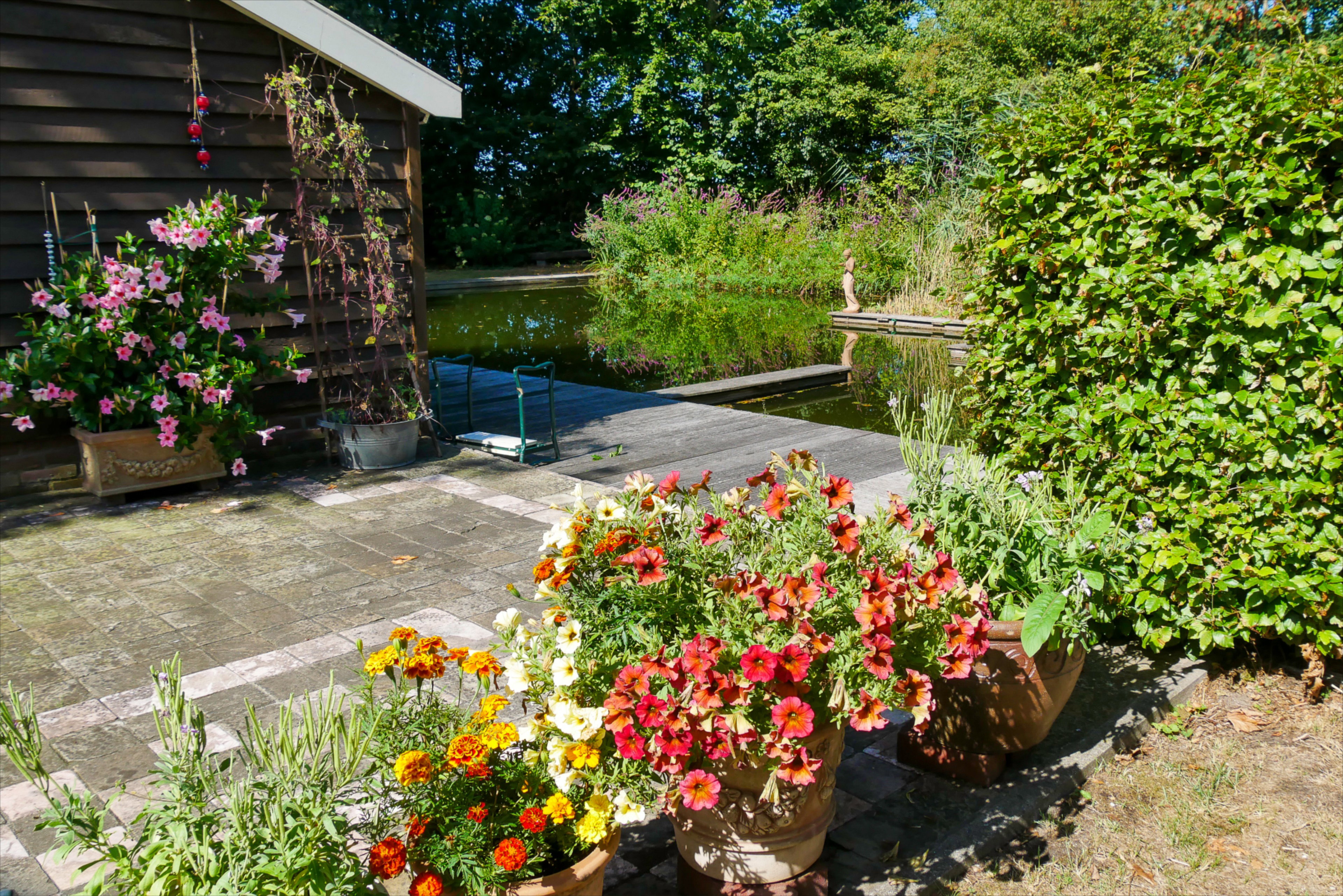 Natuurhuisje in Balkbrug