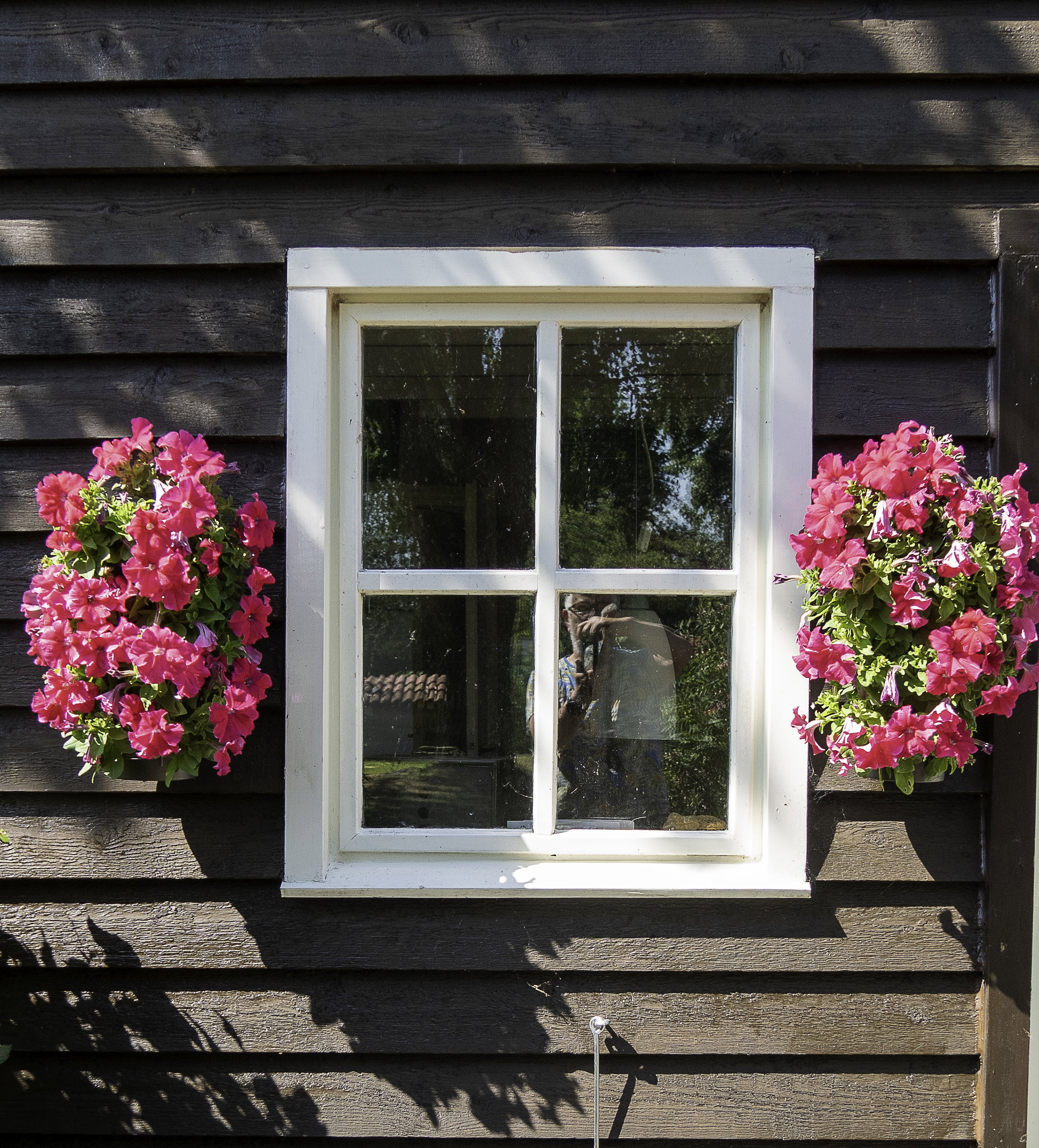 Natuurhuisje in Balkbrug