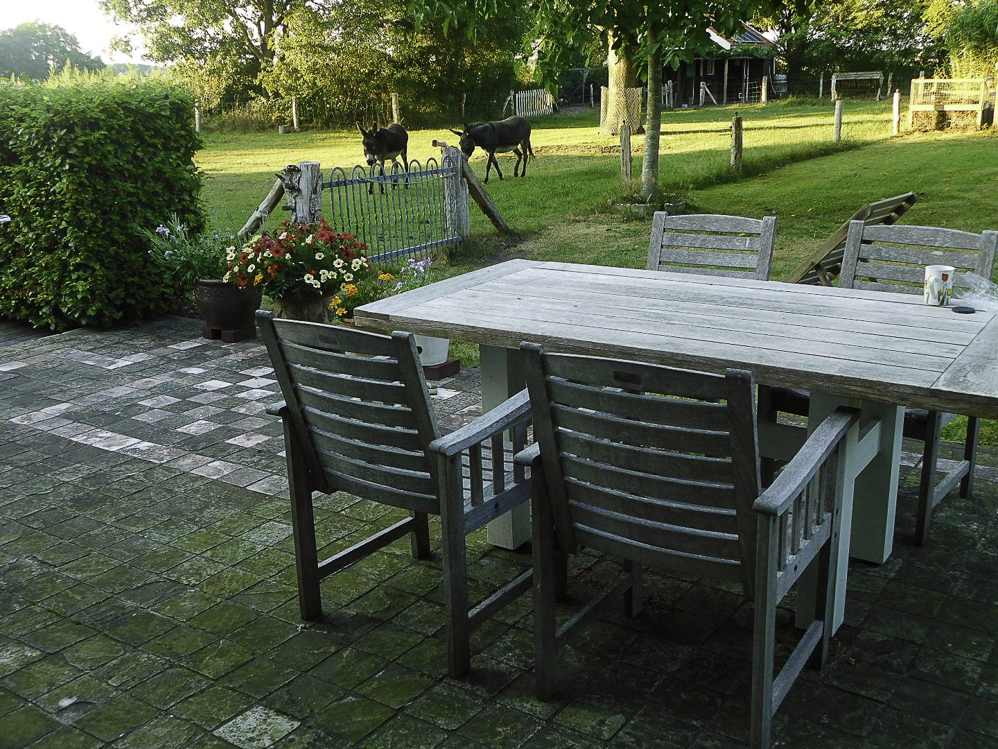 Natuurhuisje in Balkbrug