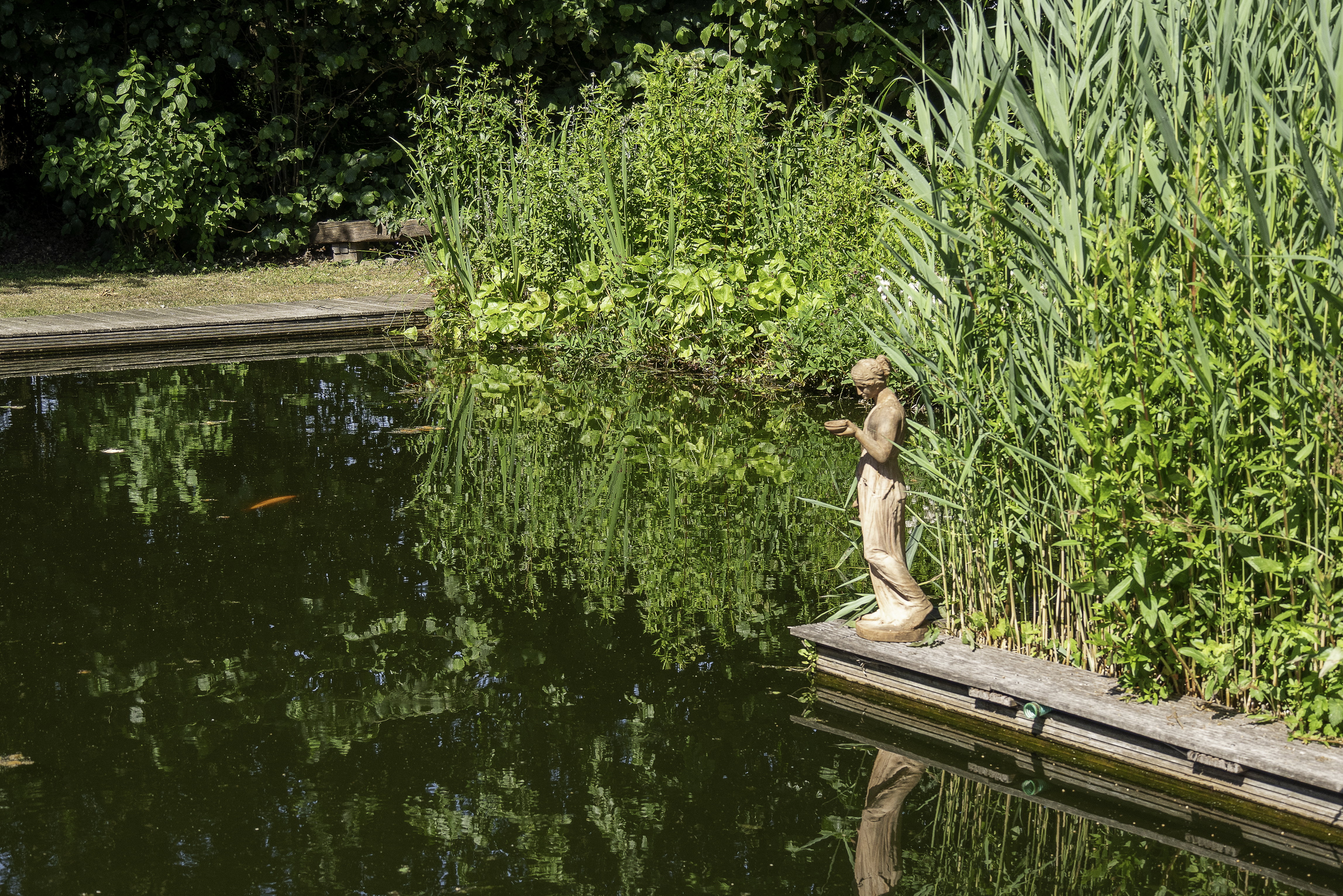 Natuurhuisje in Balkbrug