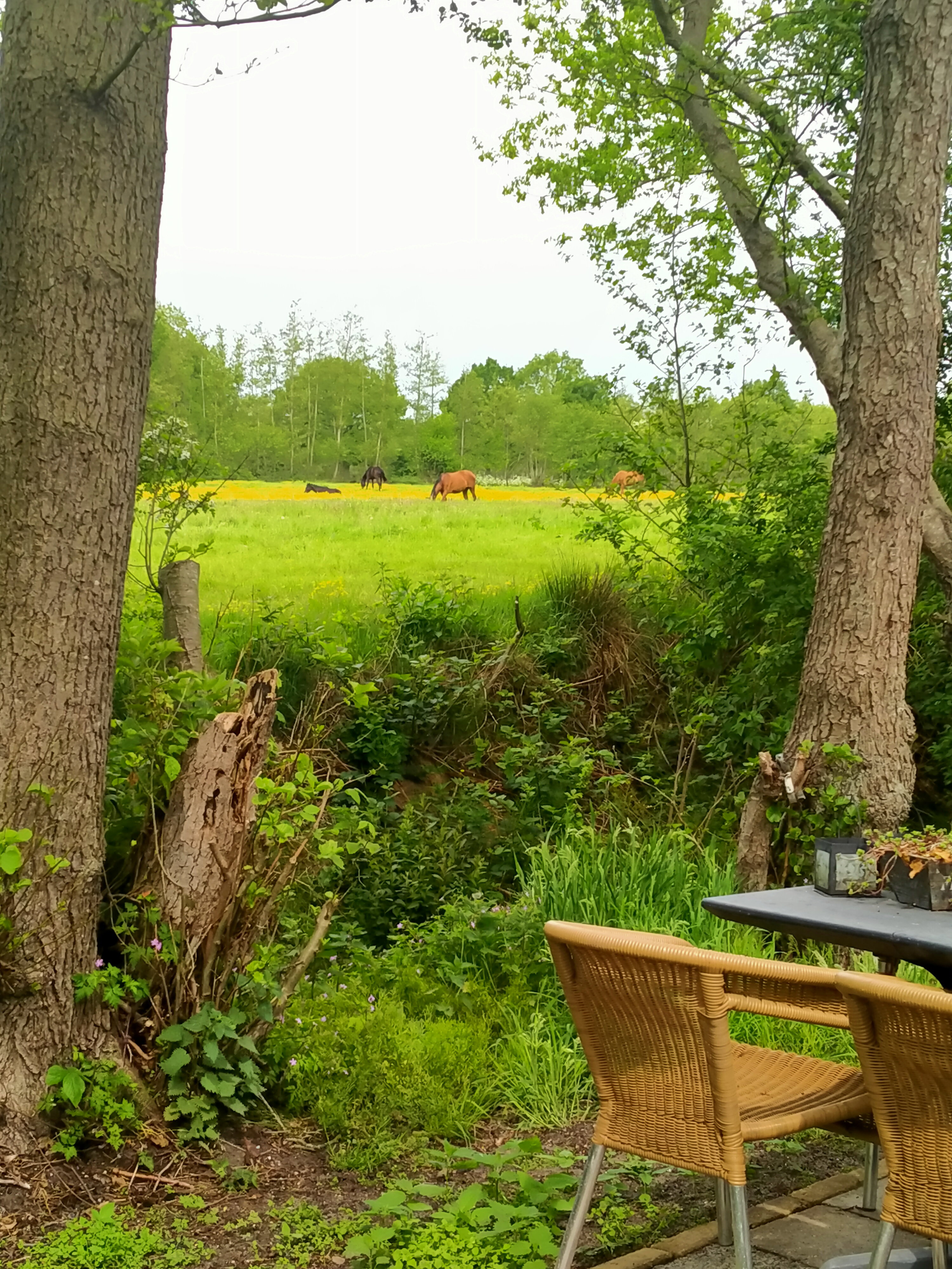 Natuurhuisje in Kollumerzwaag