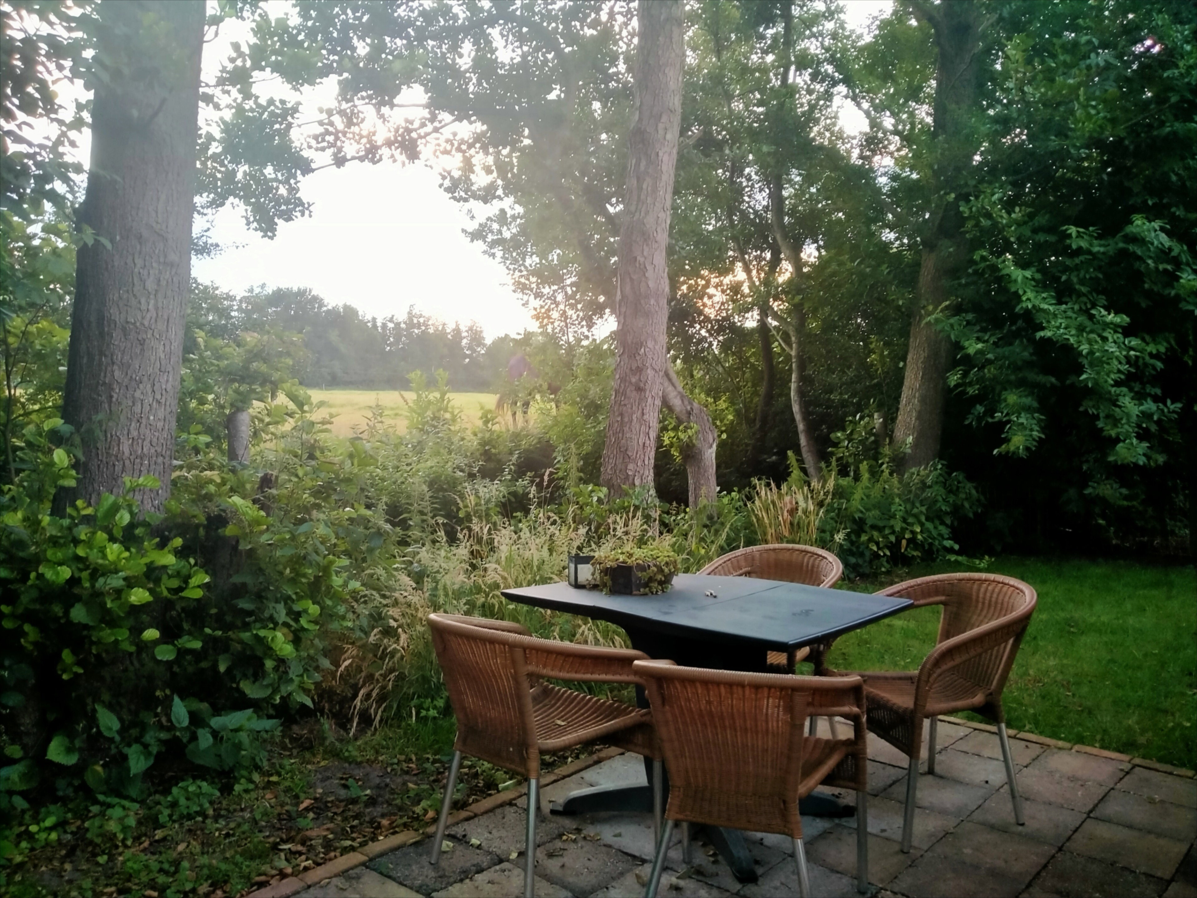 Natuurhuisje in Kollumerzwaag