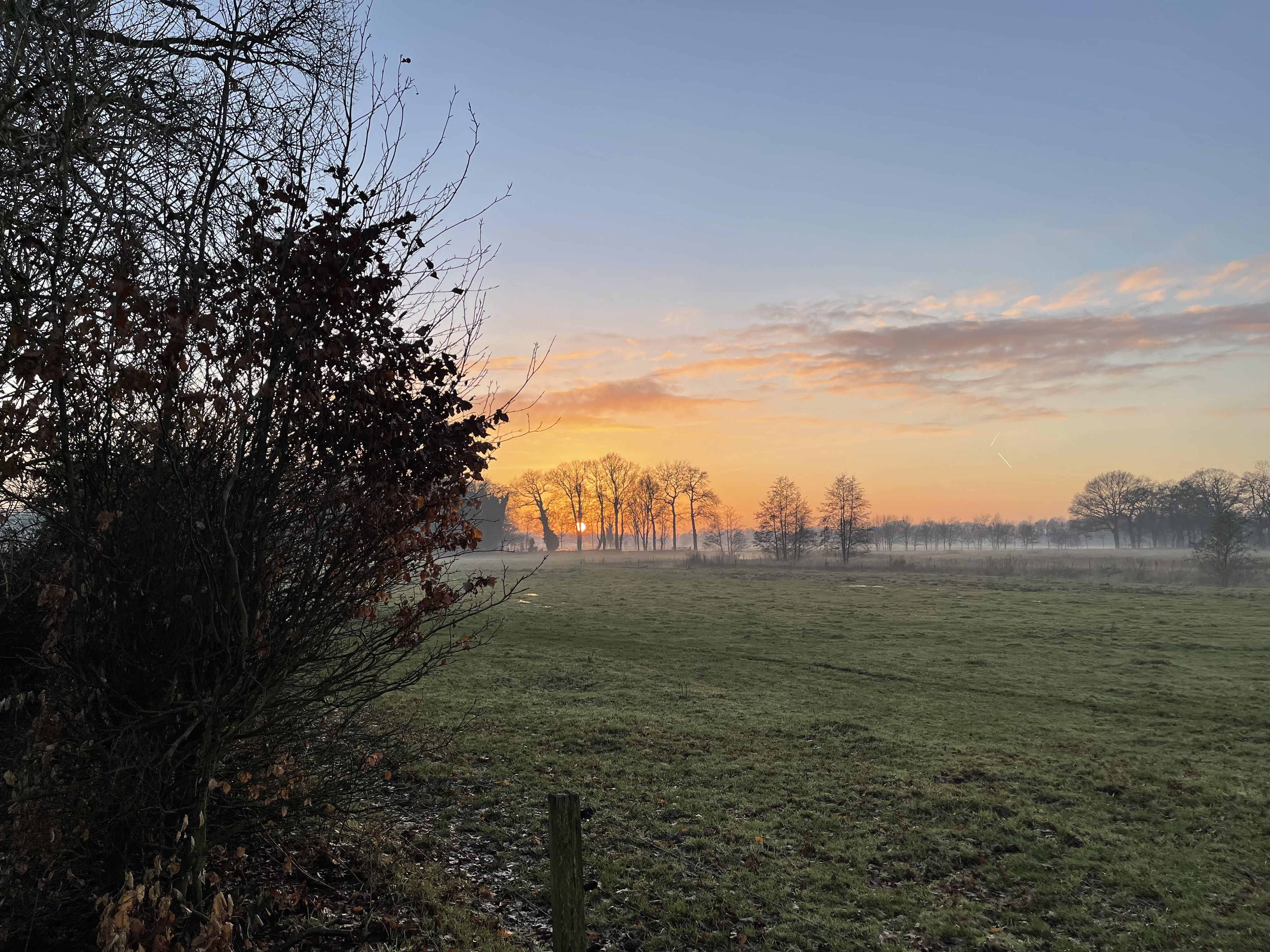 Natuurhuisje in Sellingen