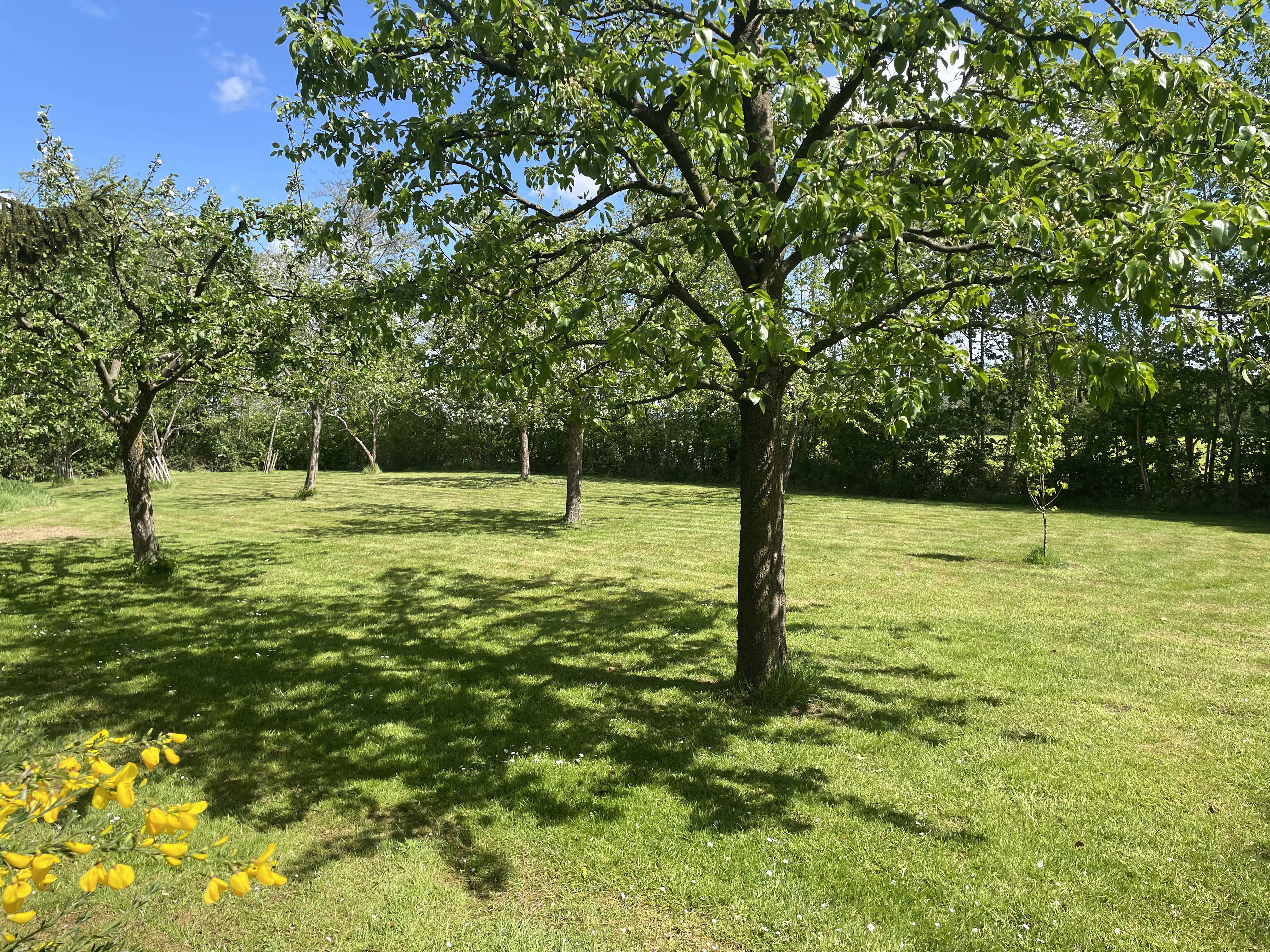 Natuurhuisje in De Tike