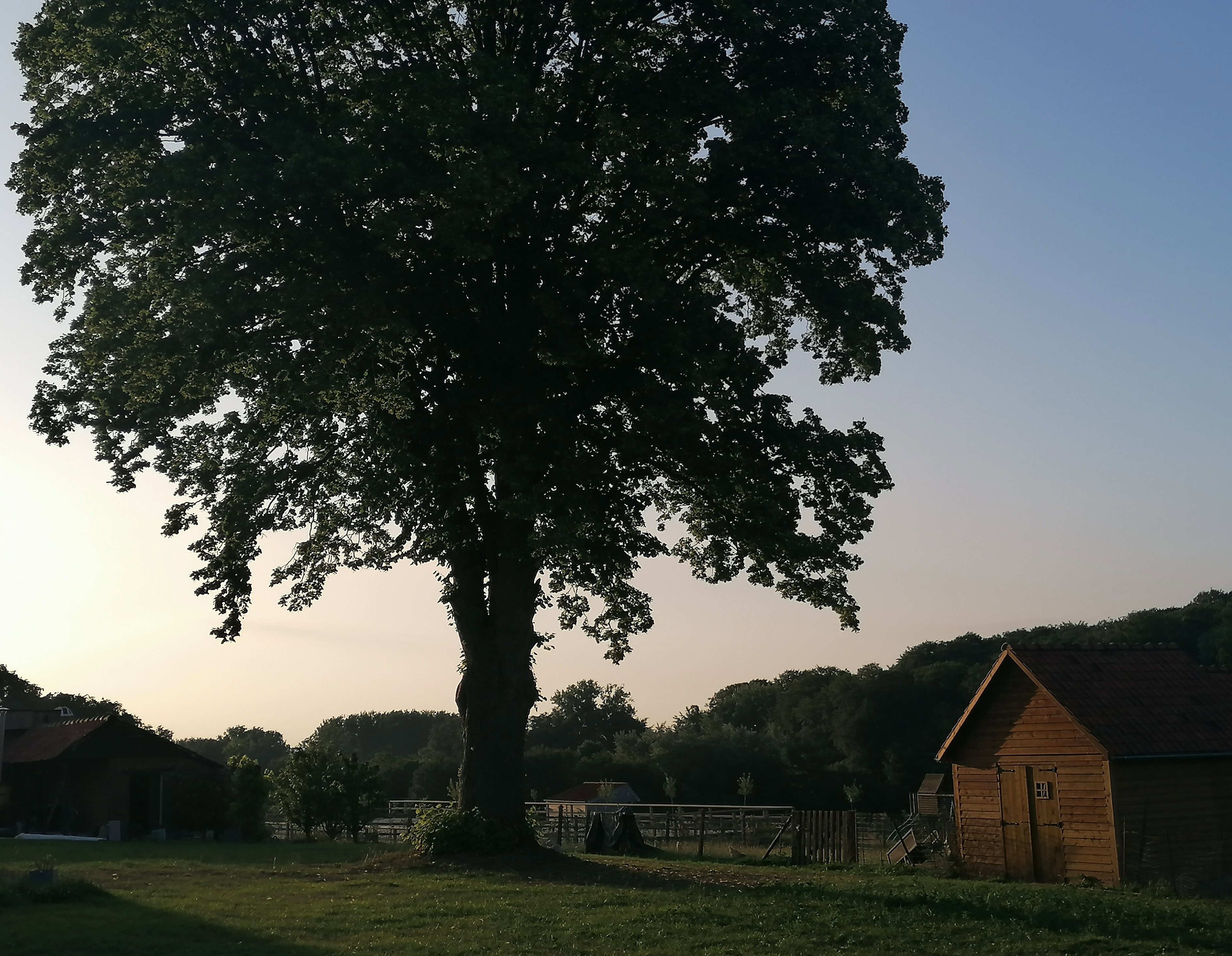 - image: 22