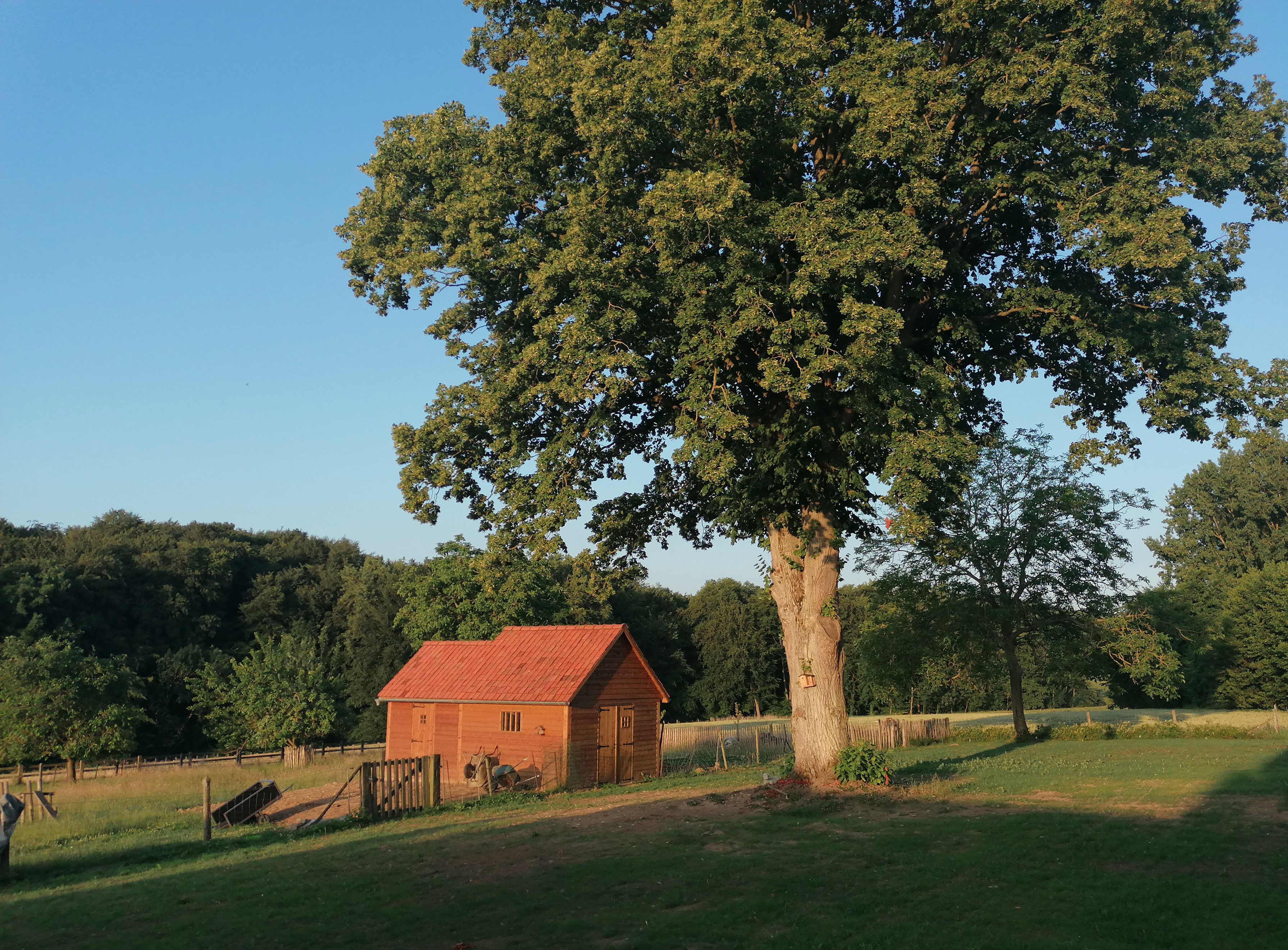 Natuurhuisje in Everbeek