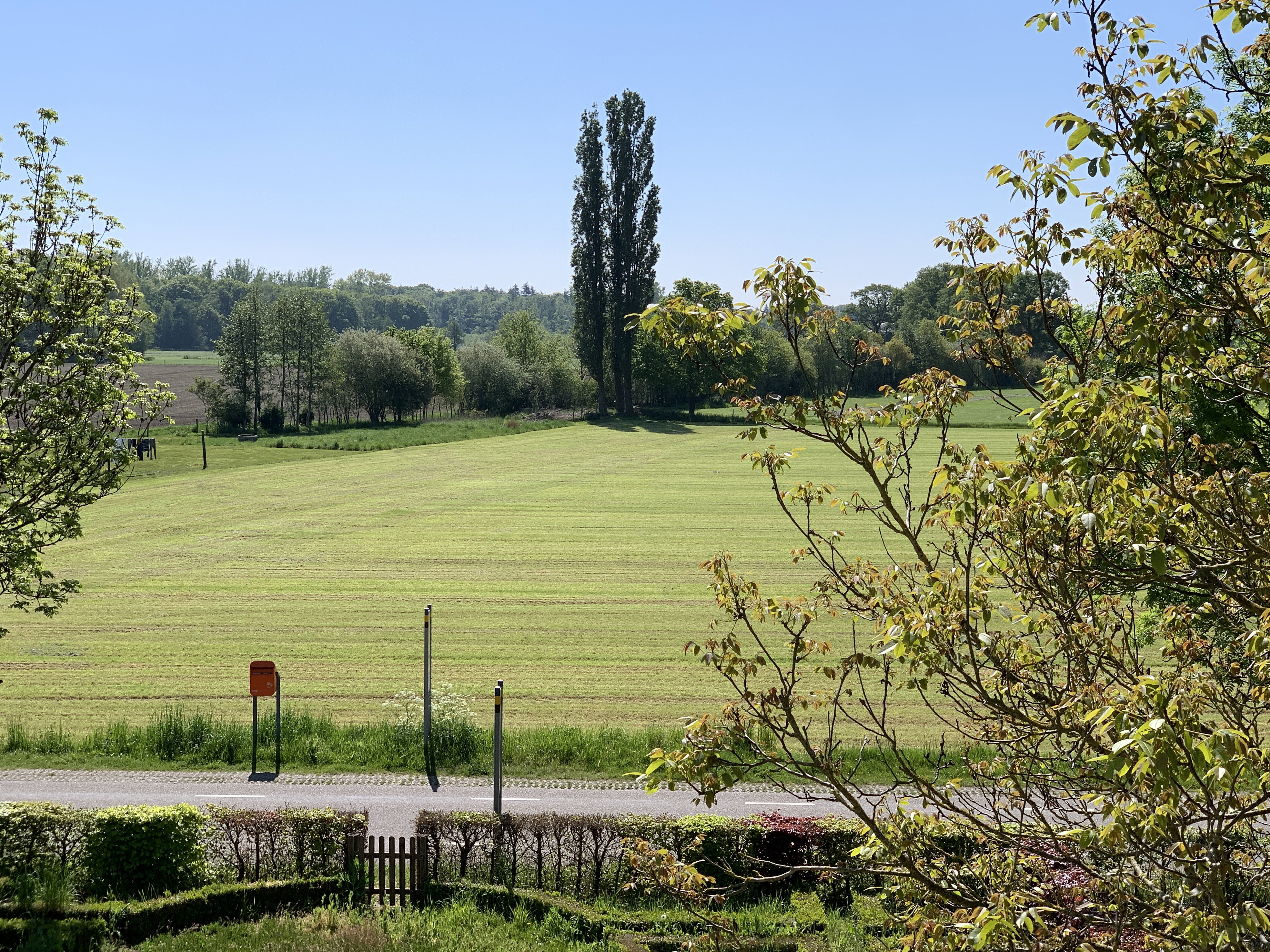 - image: 23