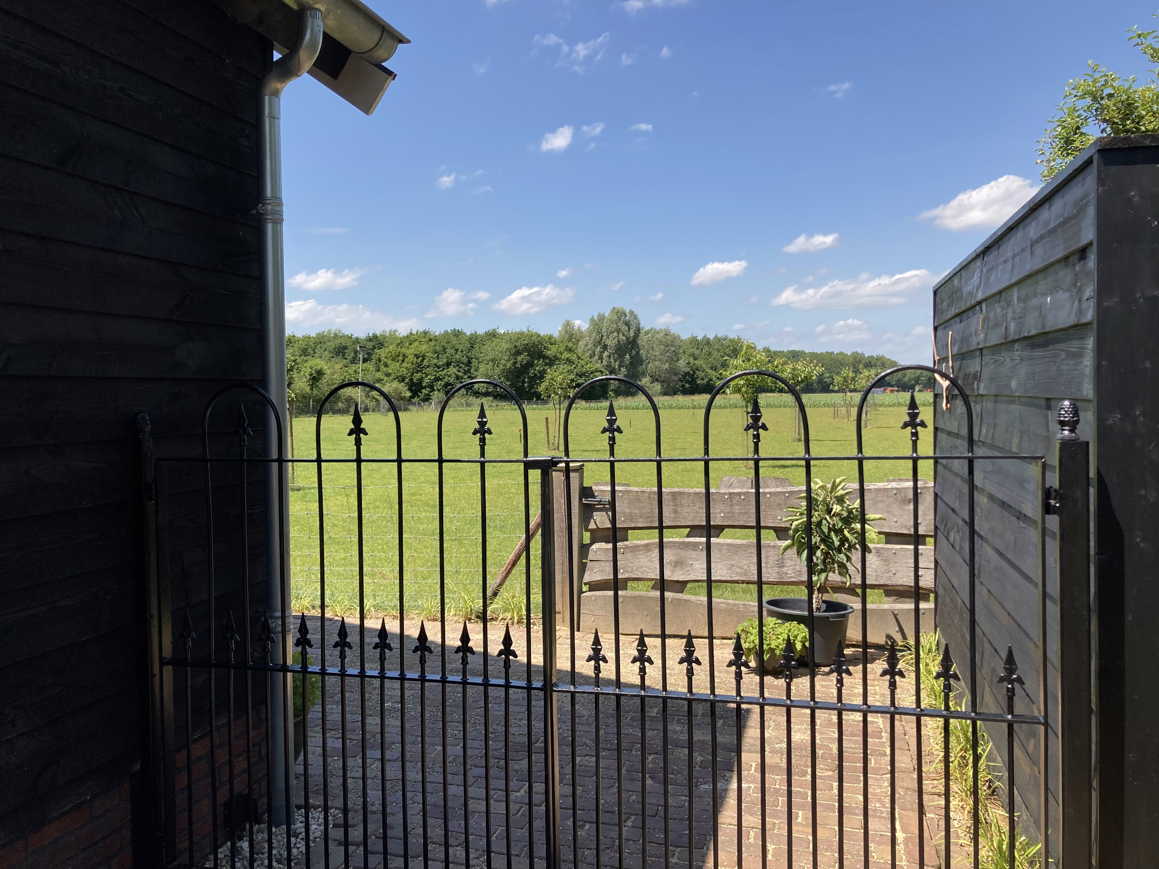 - image: 12