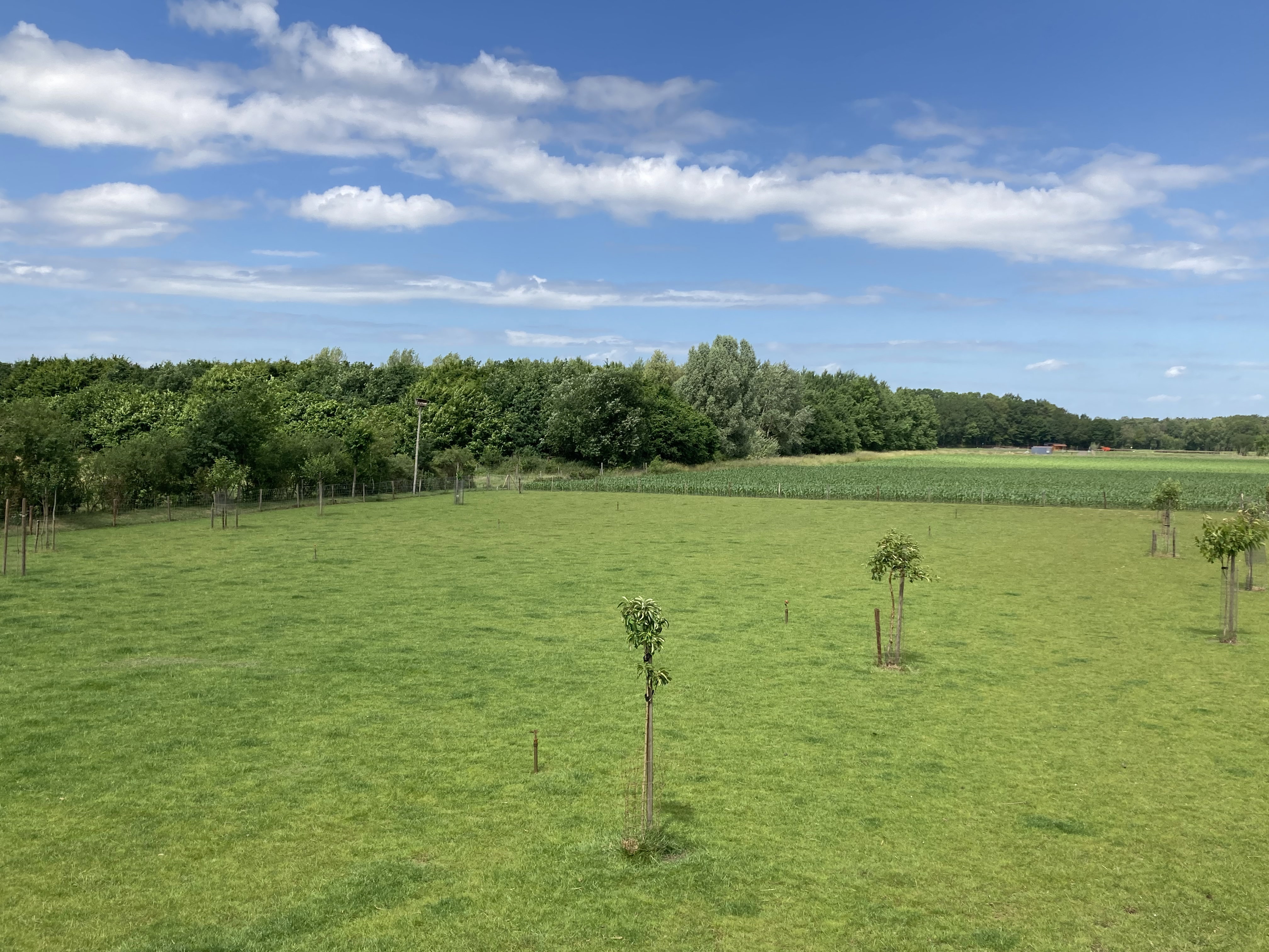 Natuurhuisje in Broekhuizen