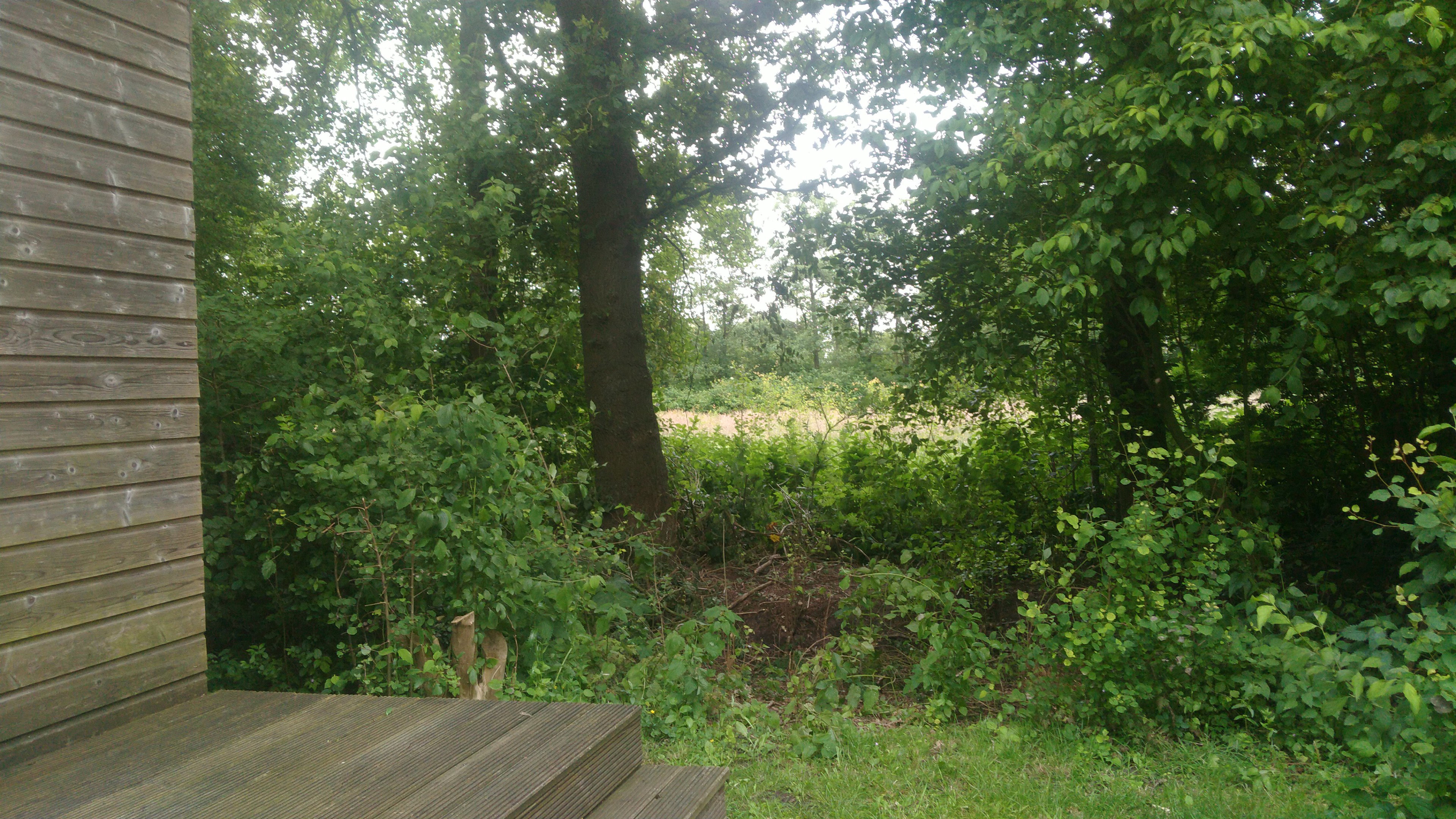 Natuurhuisje in Kollumerzwaag