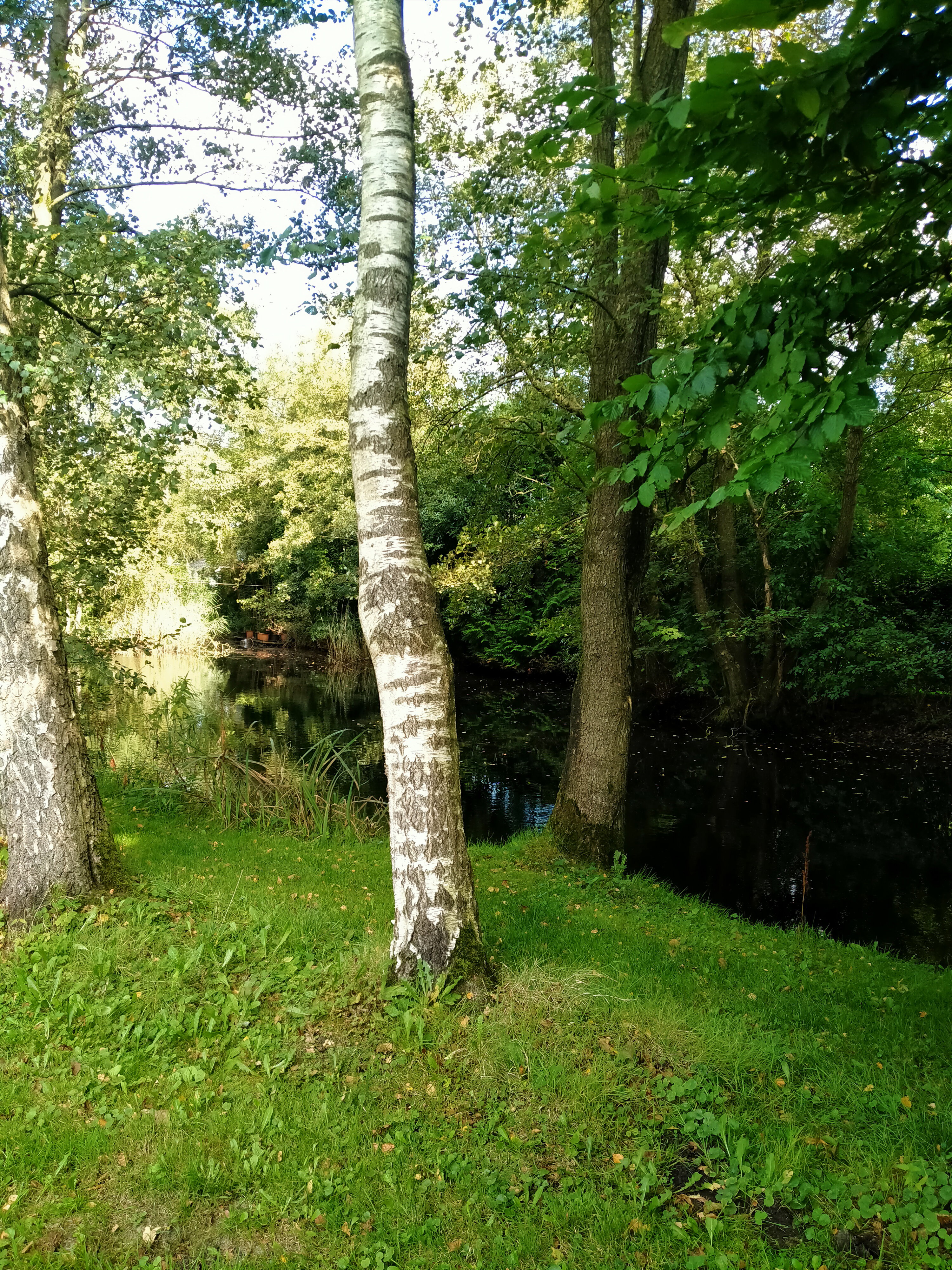 Natuurhuisje in Kollumerzwaag