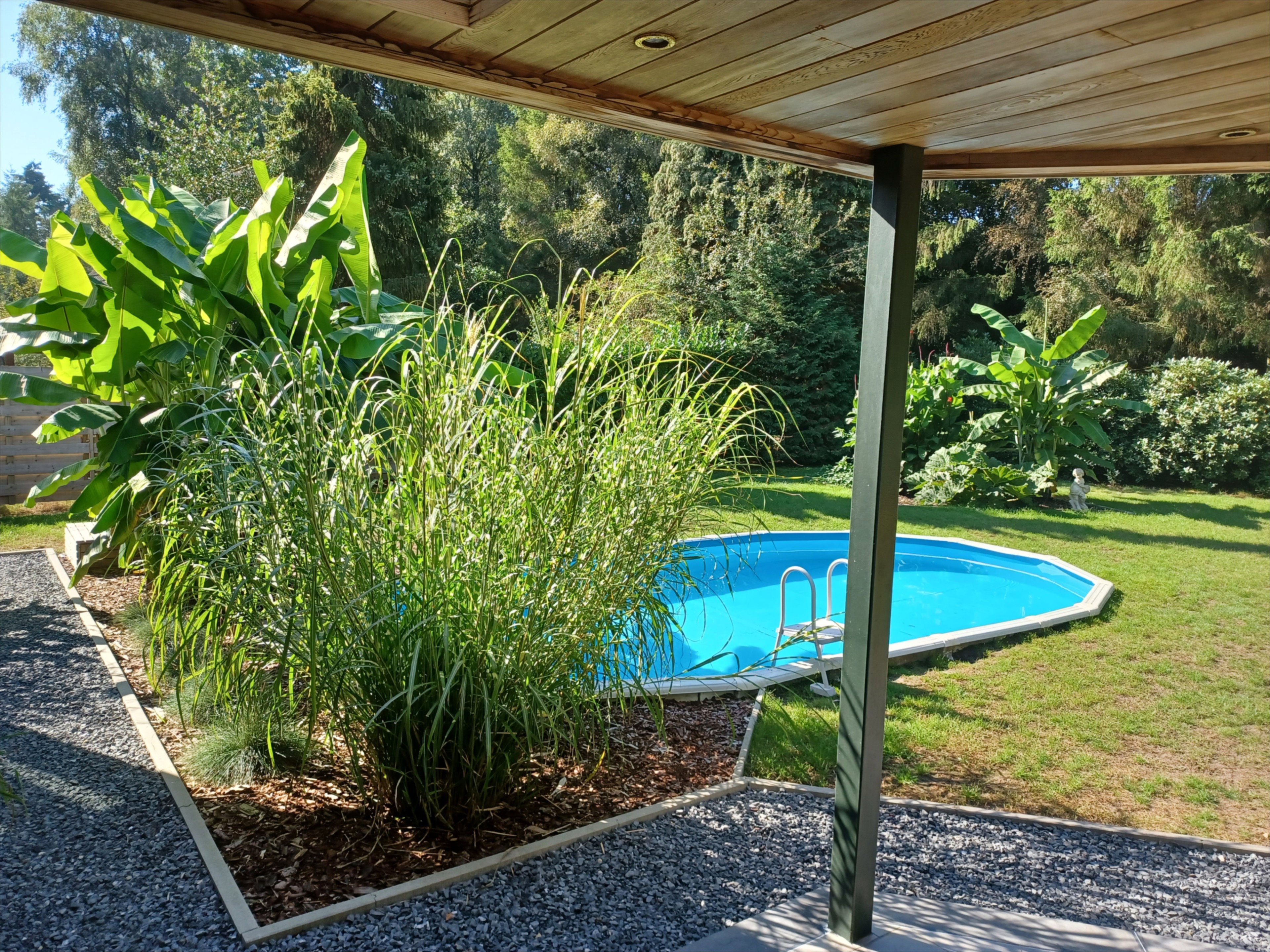 - image: 37