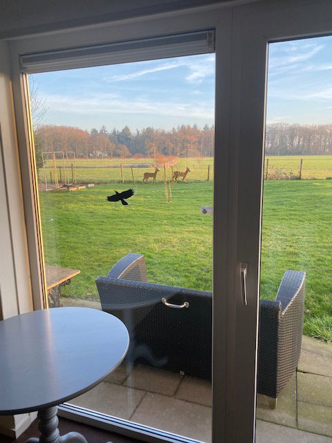 Natuurhuisje in Epse
