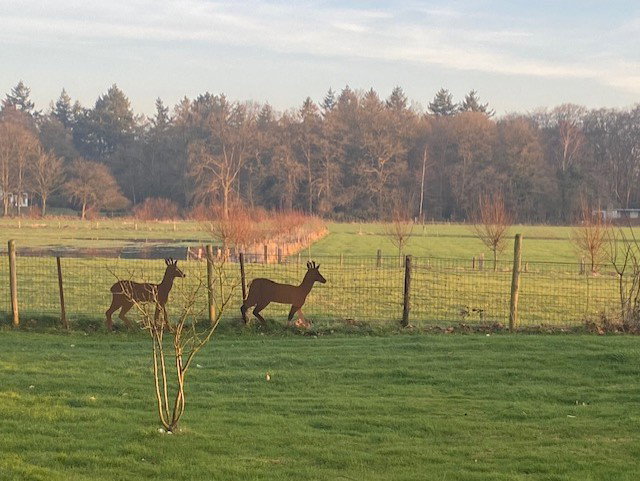 Natuurhuisje in Epse