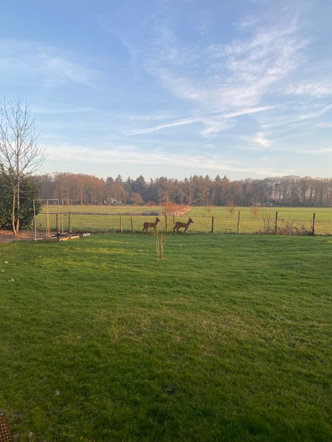 Natuurhuisje in Epse