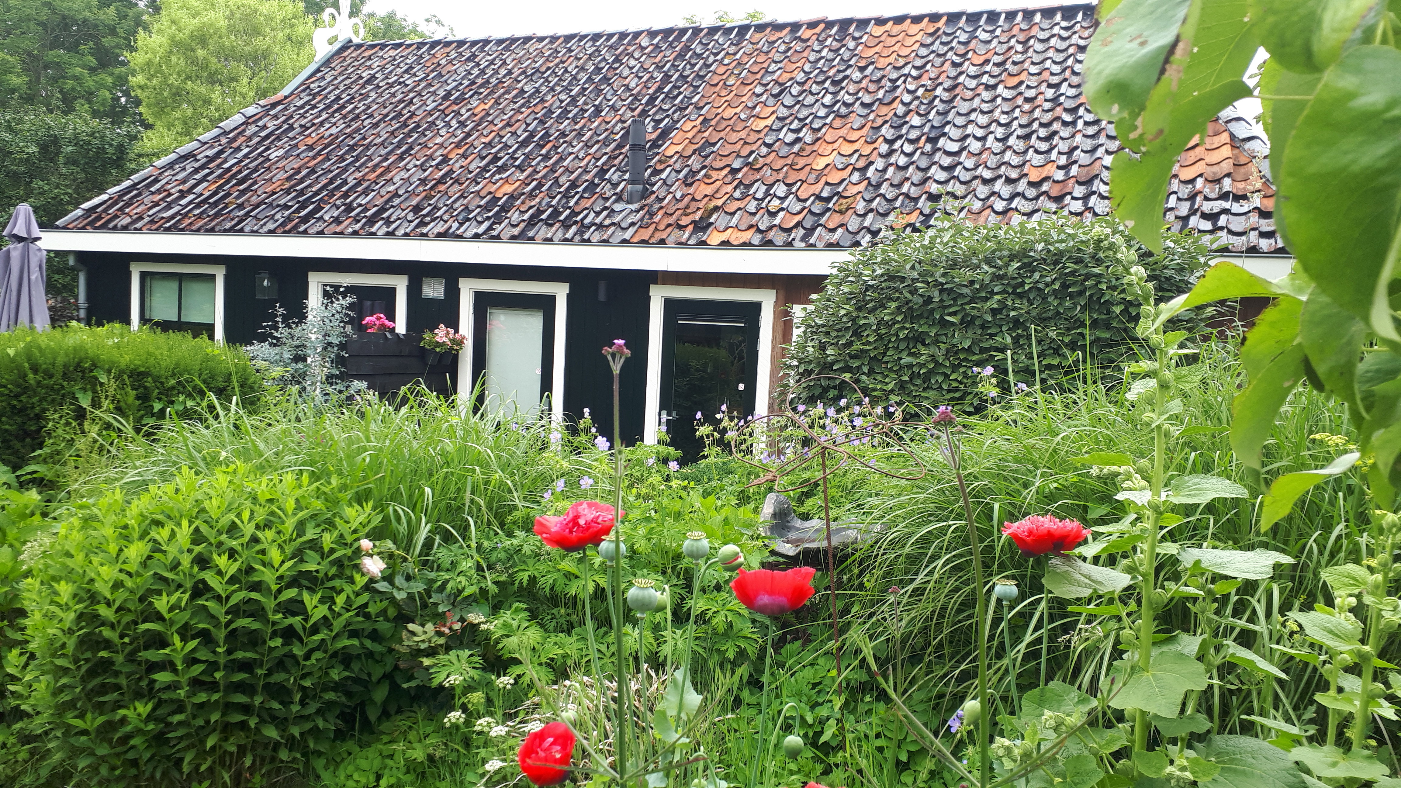 Casa nella natura a Foudgum