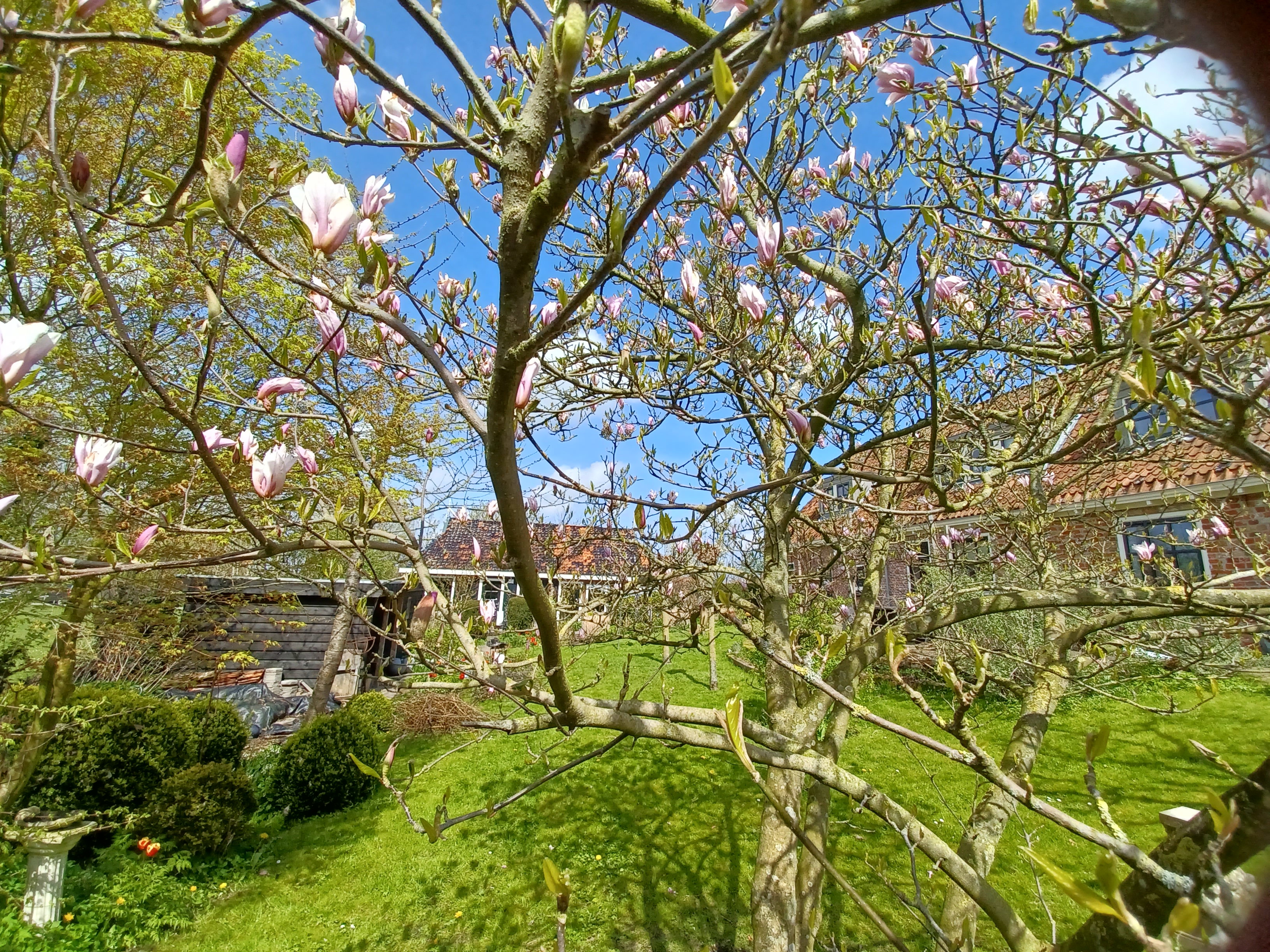 Natuurhuisje in Foudgum