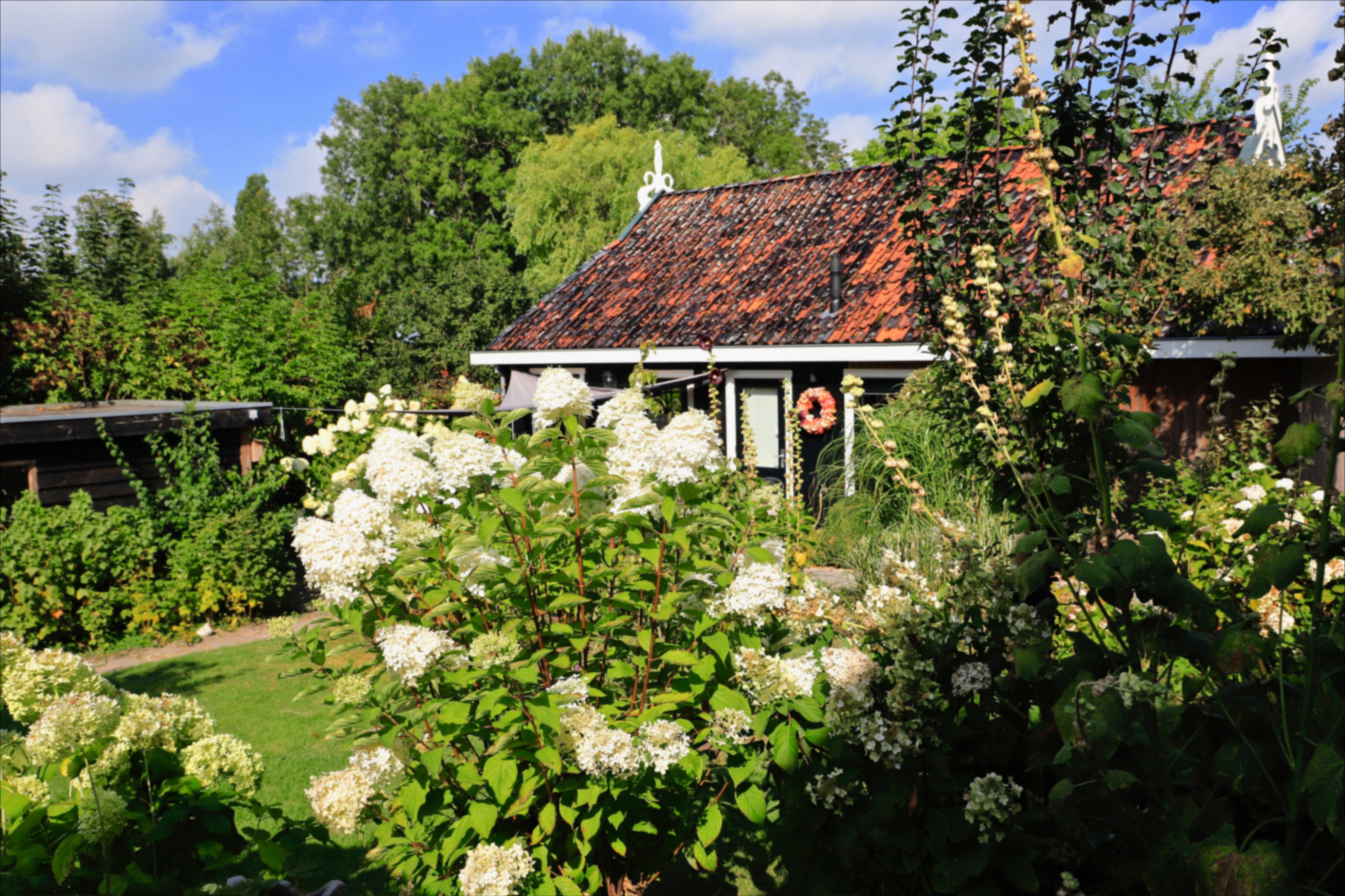 Casa nella natura a Foudgum