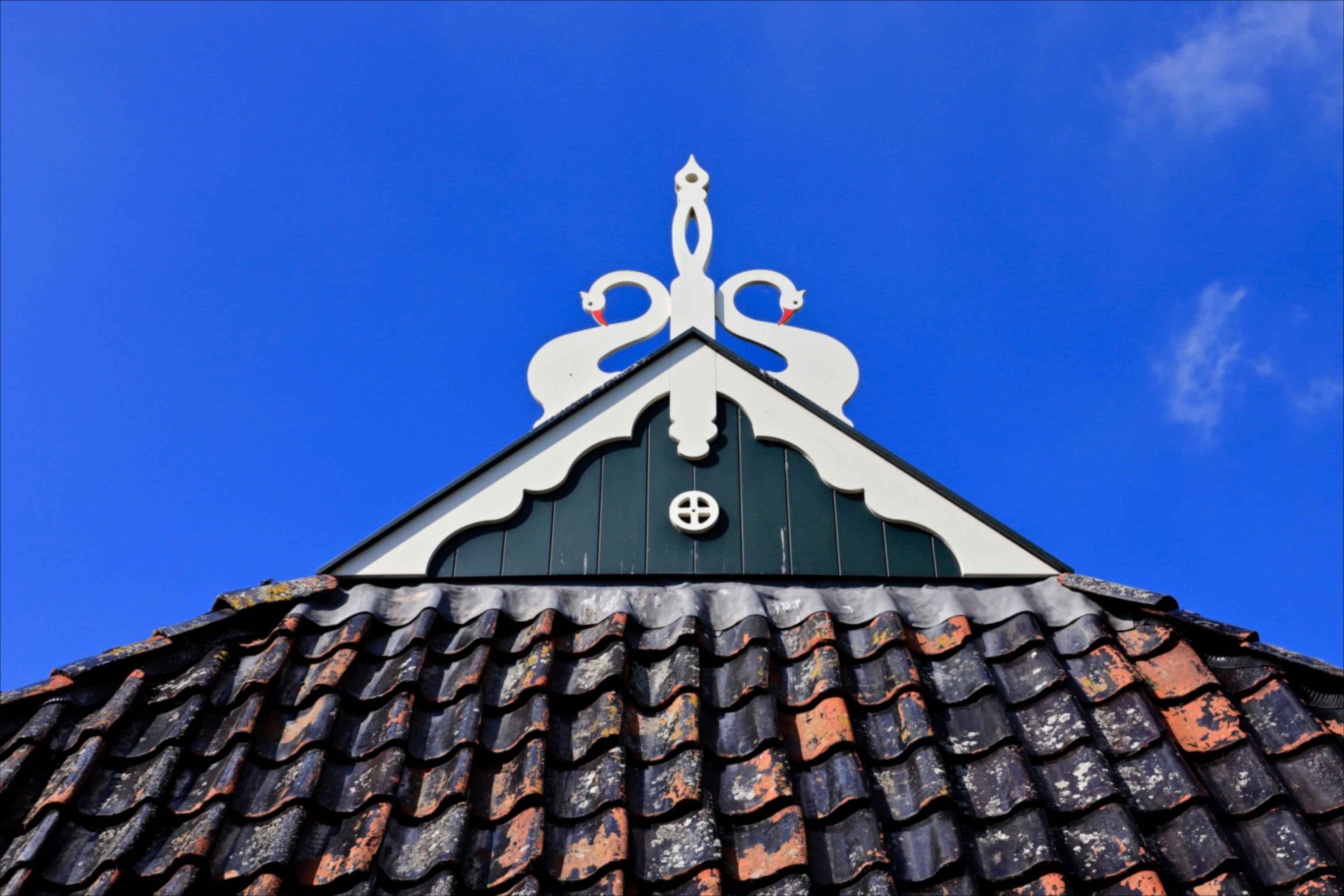 - image: 12