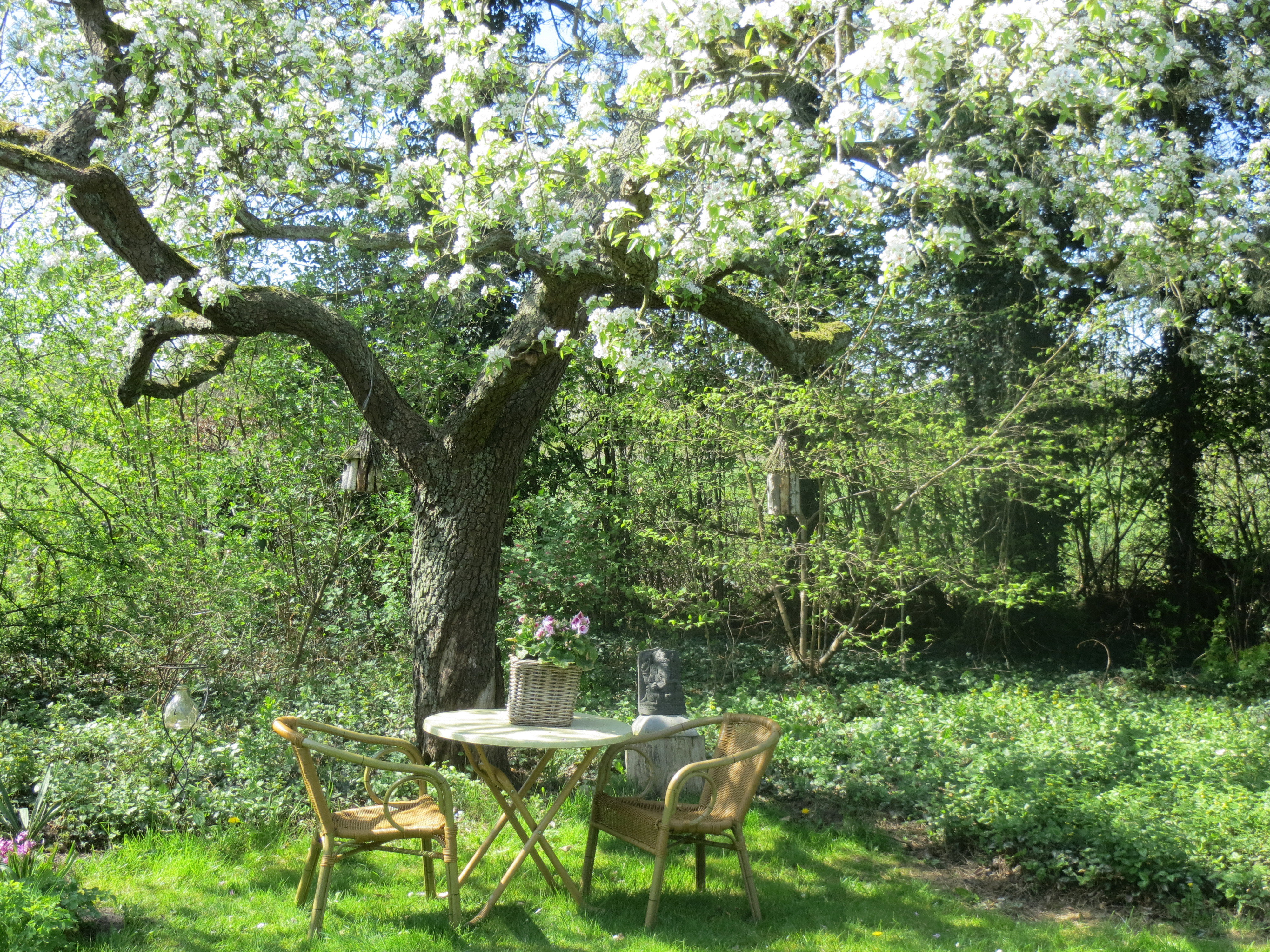 - image: 9