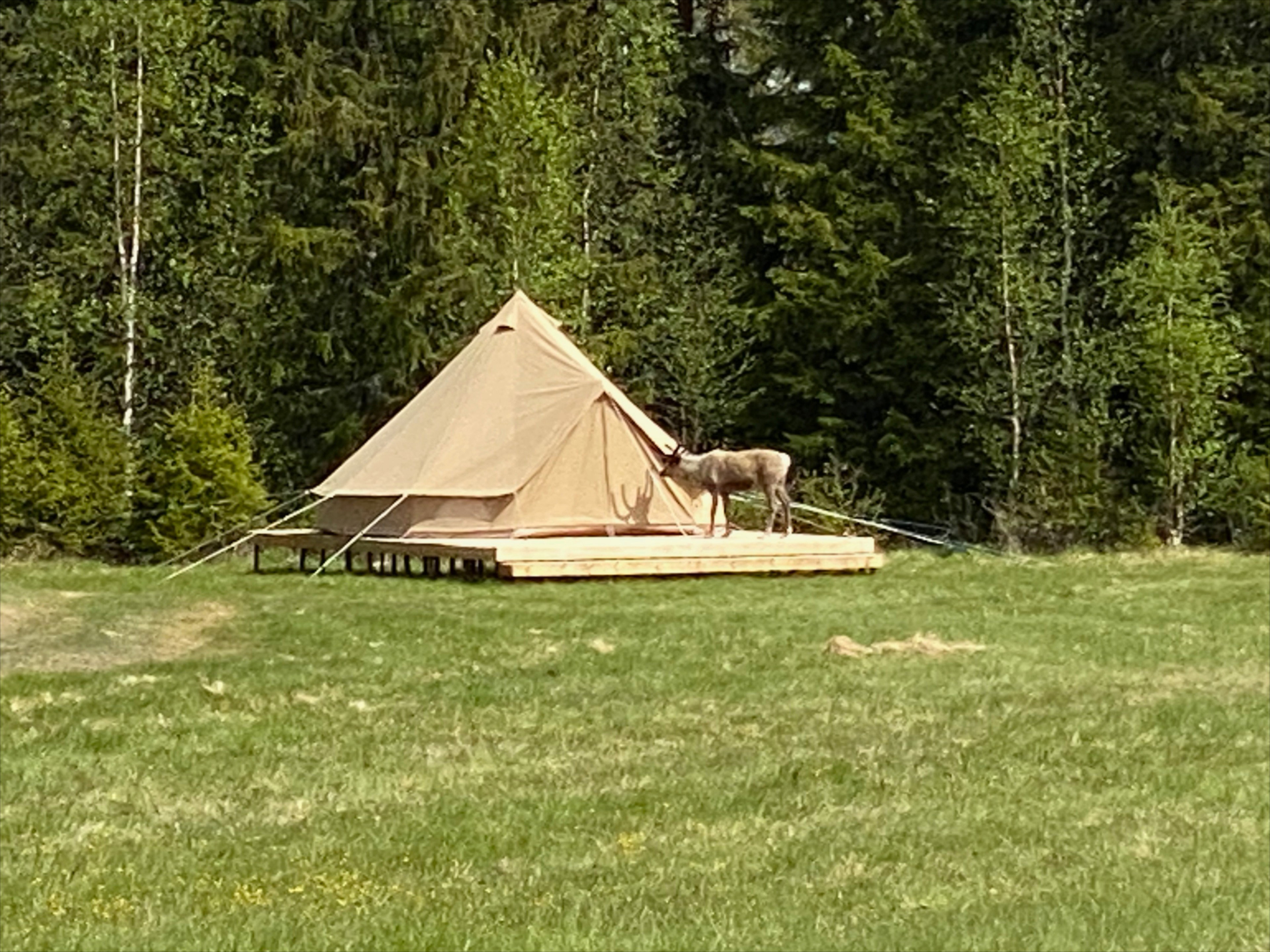 Casa nella natura a Sveg