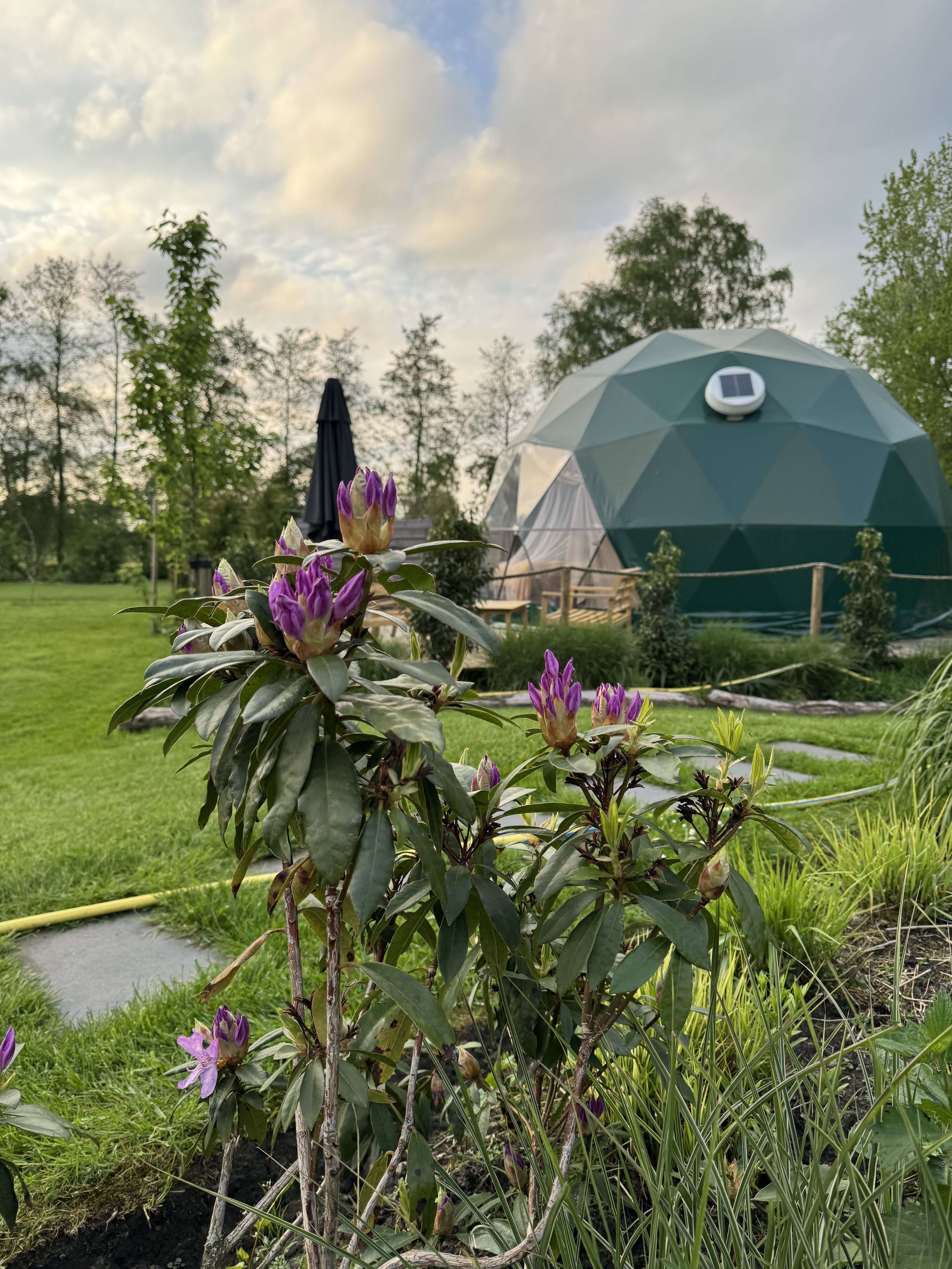 Natuurhuisje in Boelenslaan