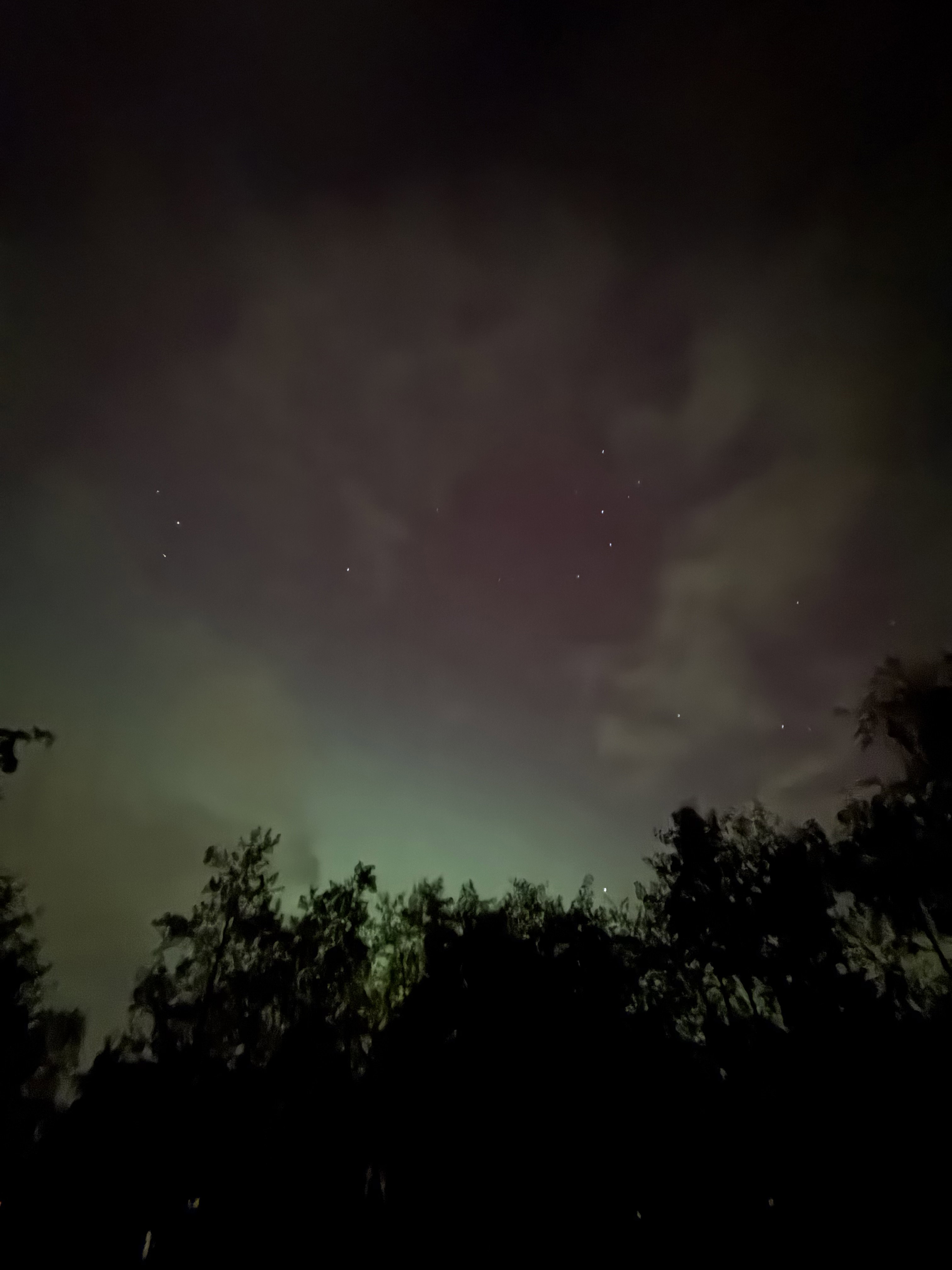 Natuurhuisje in Boelenslaan