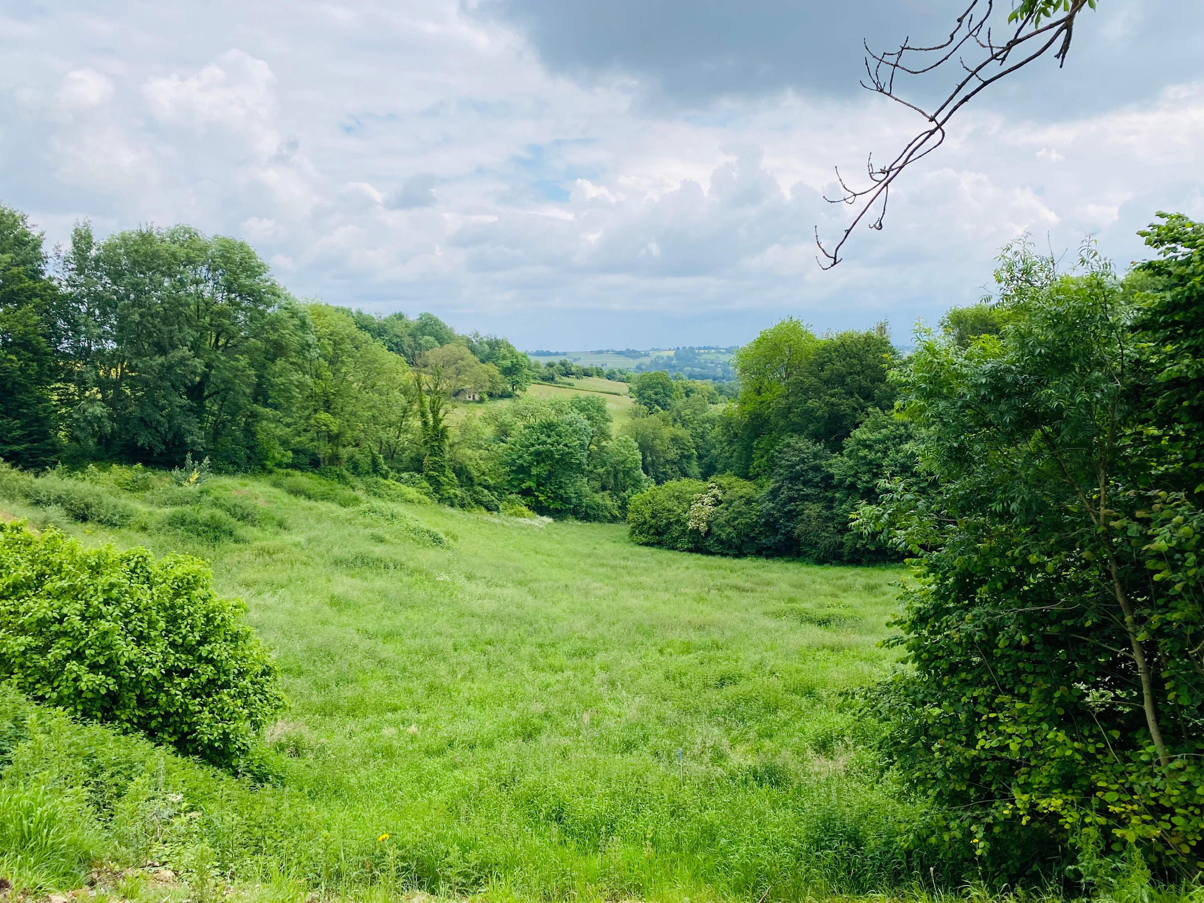 Naturhäuschen in Wijlre