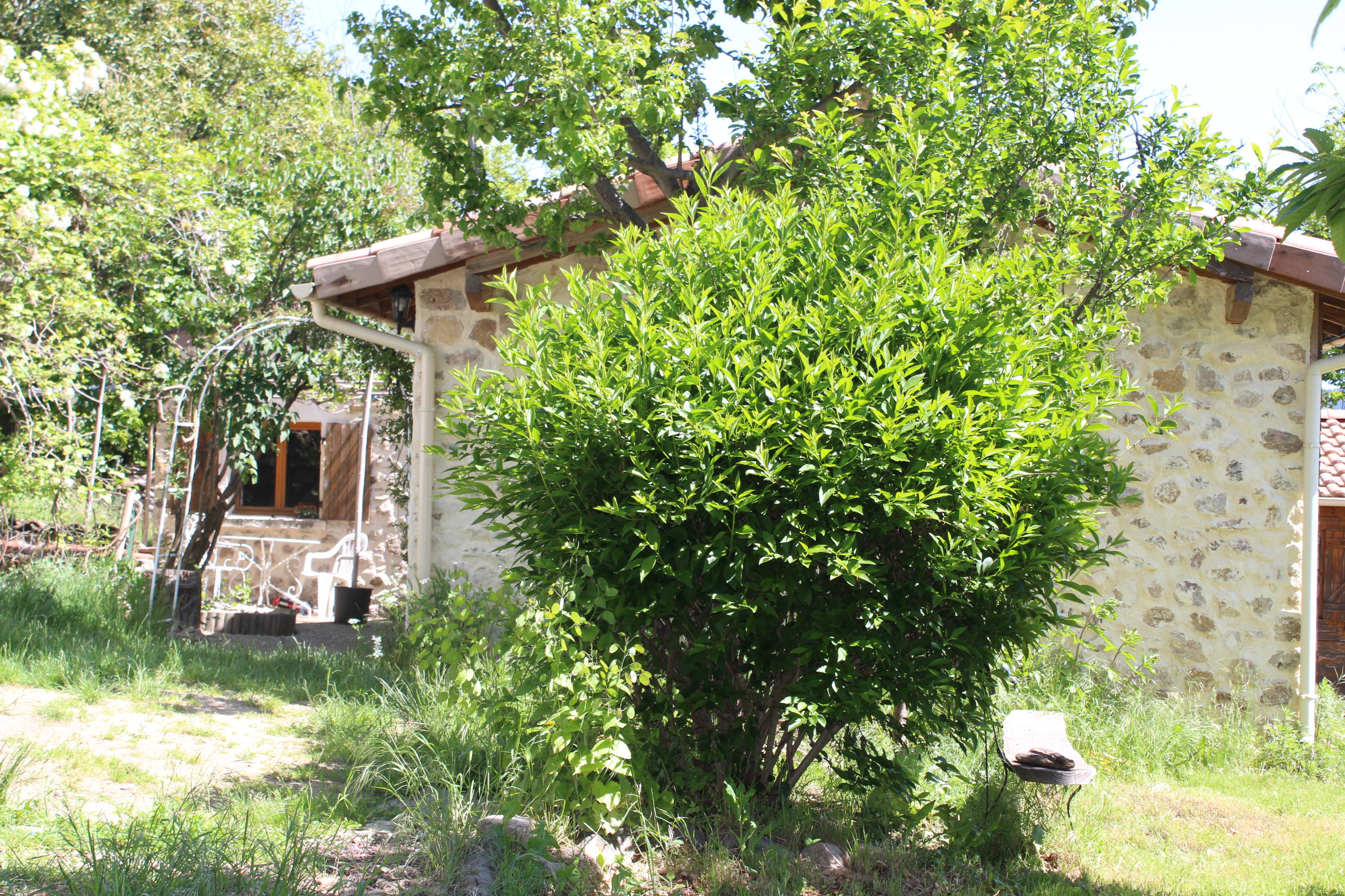 Natuurhuisje in Saint Andéol de vals