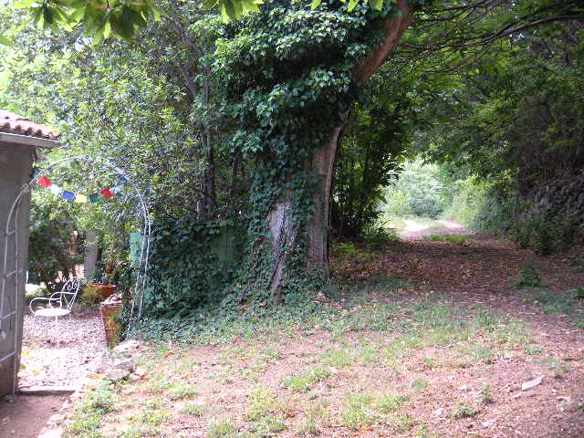 - image: 19