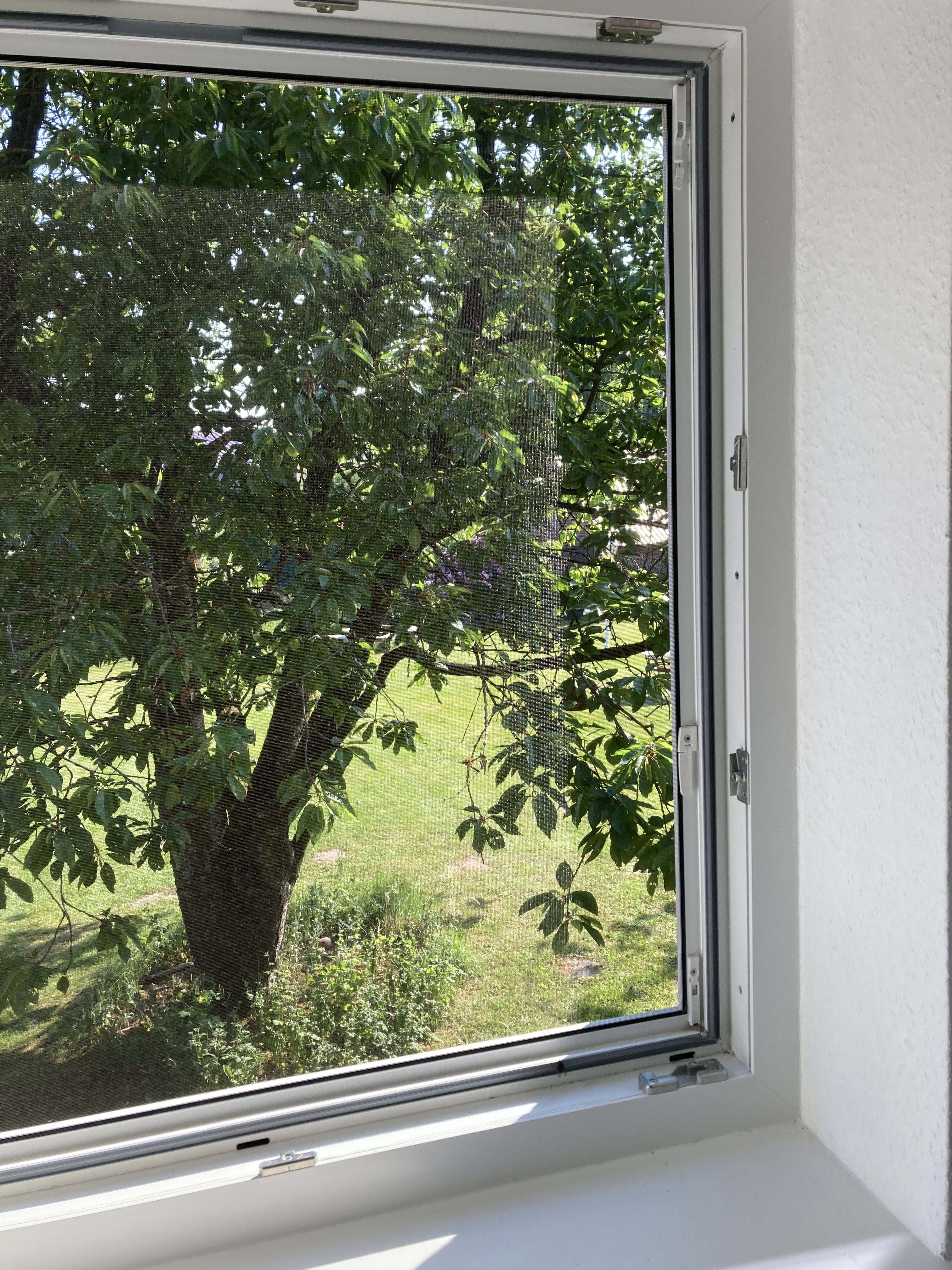 Nature house in Nahrendorf