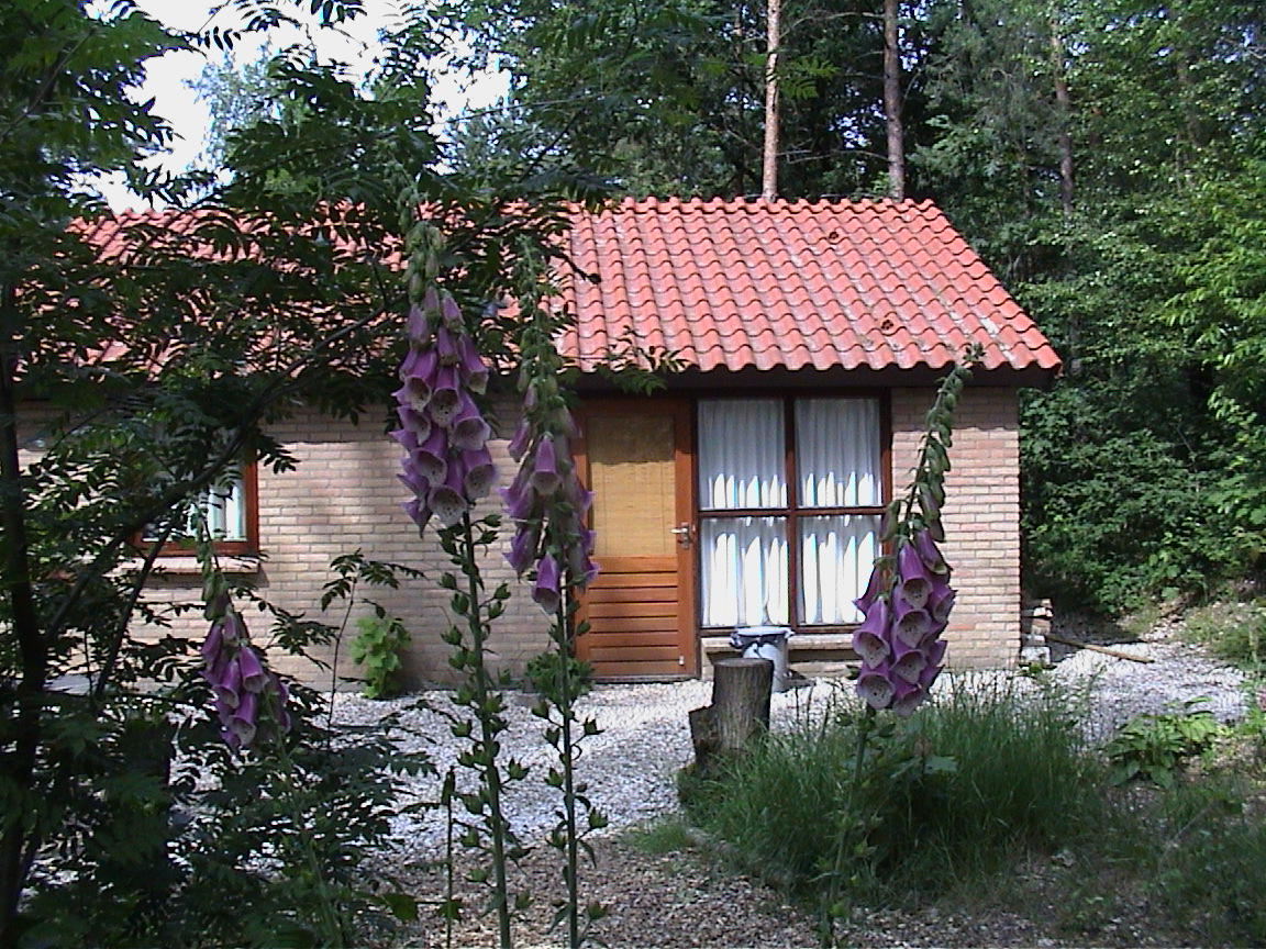 Nature house in Groesbeek