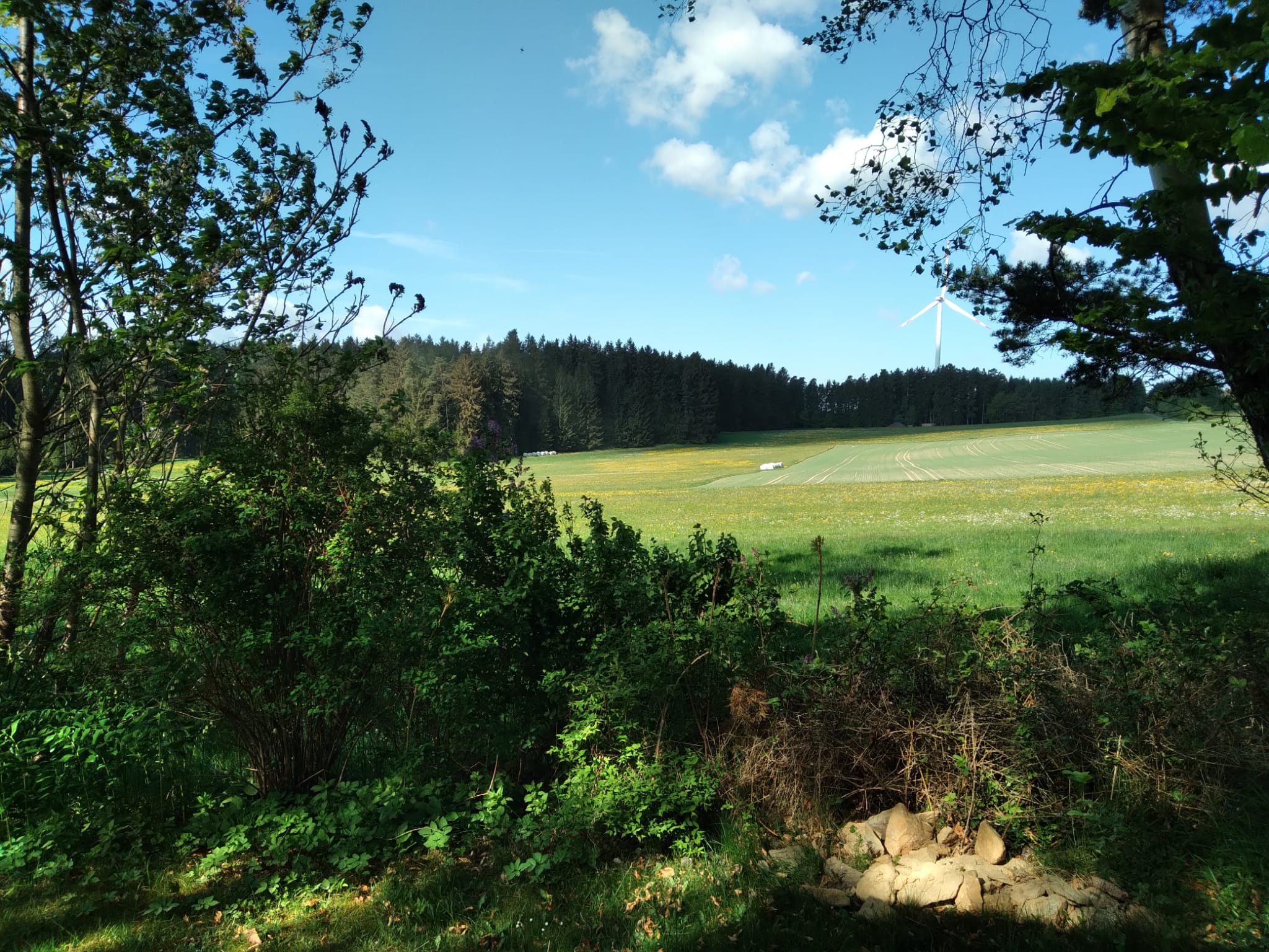 Casa nella natura a Selb