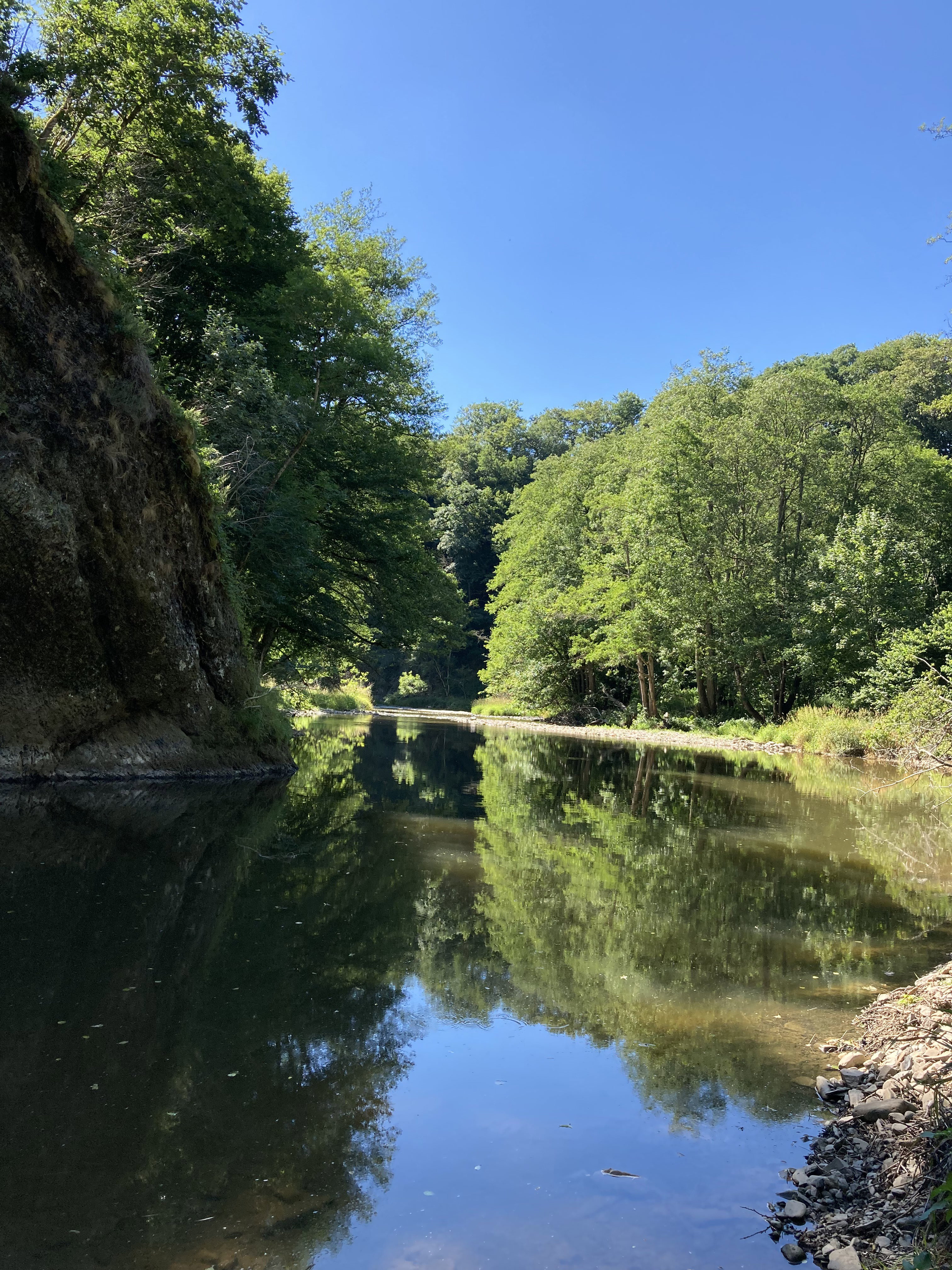 Naturhäuschen in Gemünd