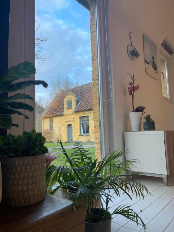 Naturhäuschen in Heusden