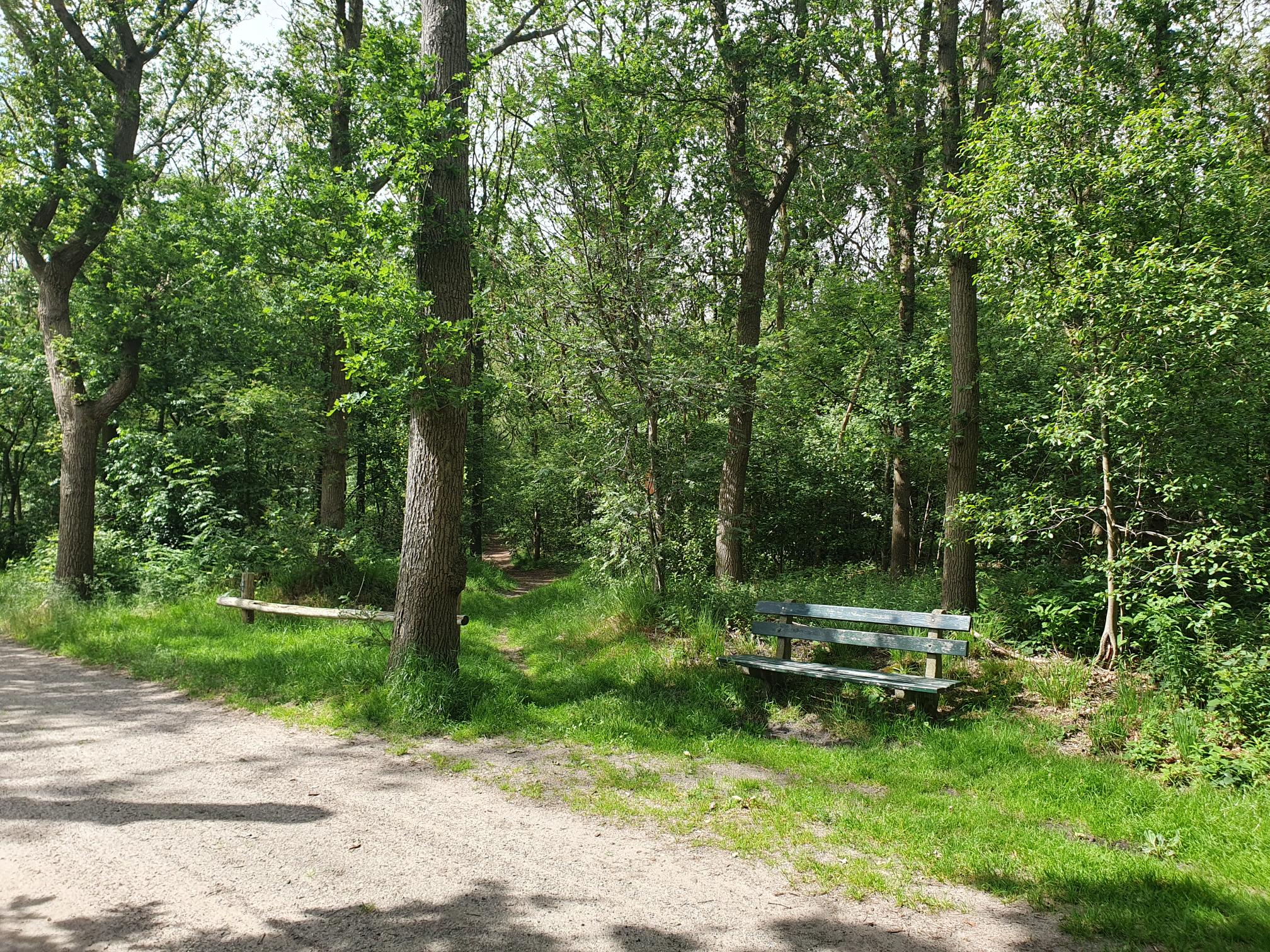 Casa nella natura a Katlijk