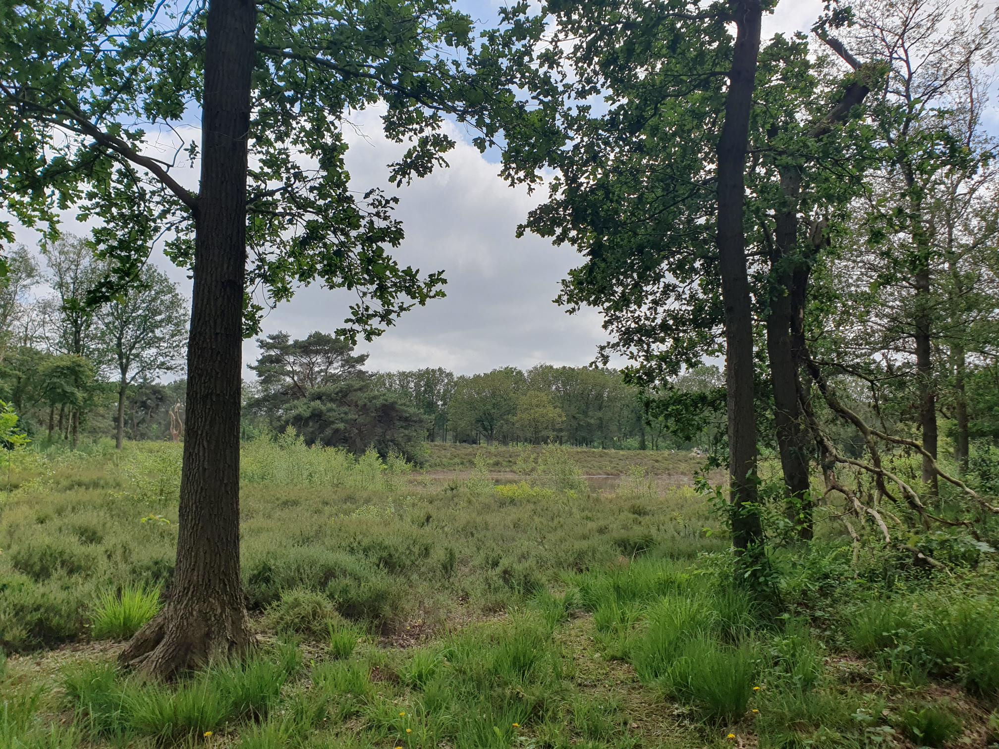 Casa nella natura a Katlijk
