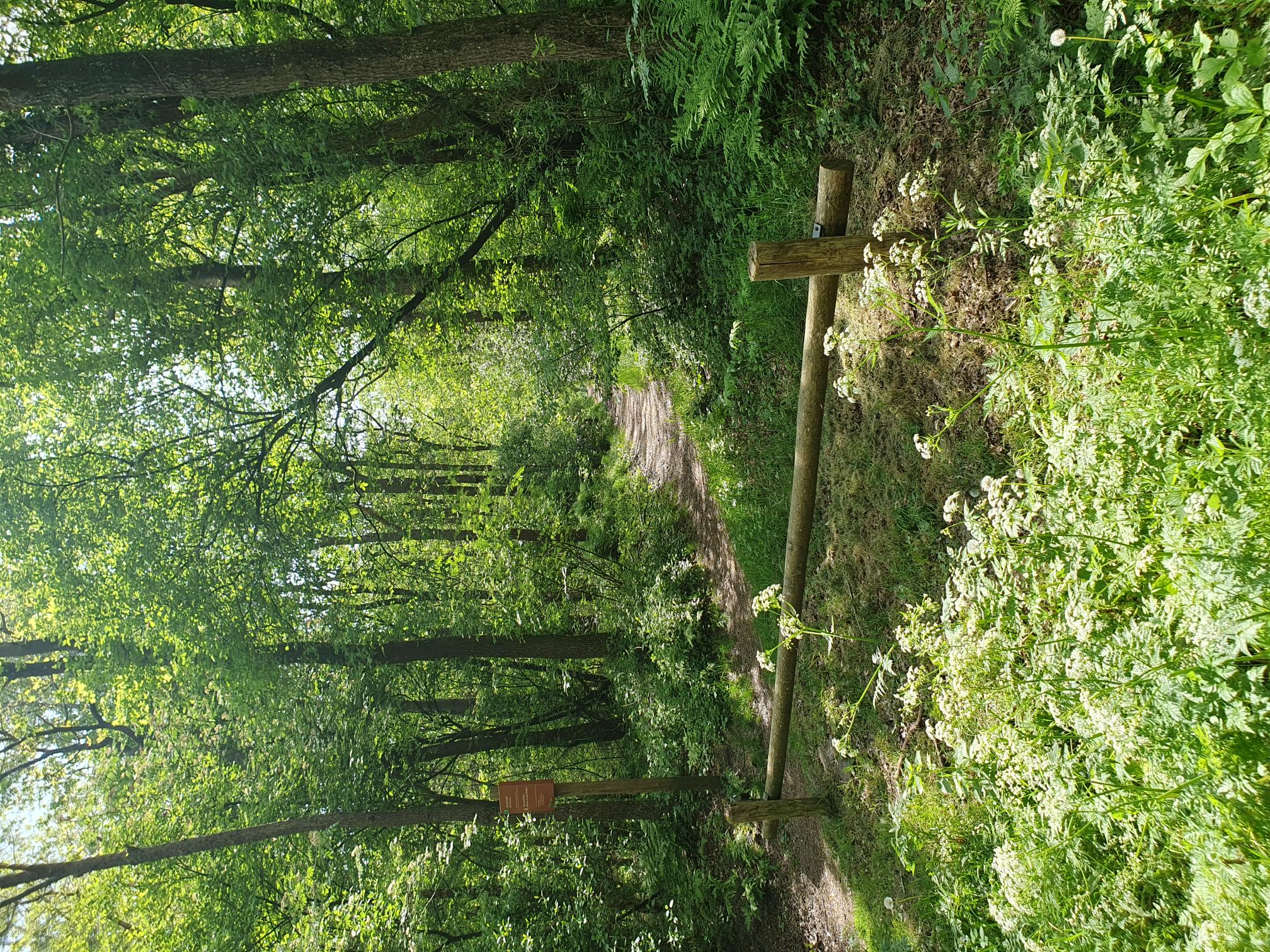 Casa nella natura a Katlijk