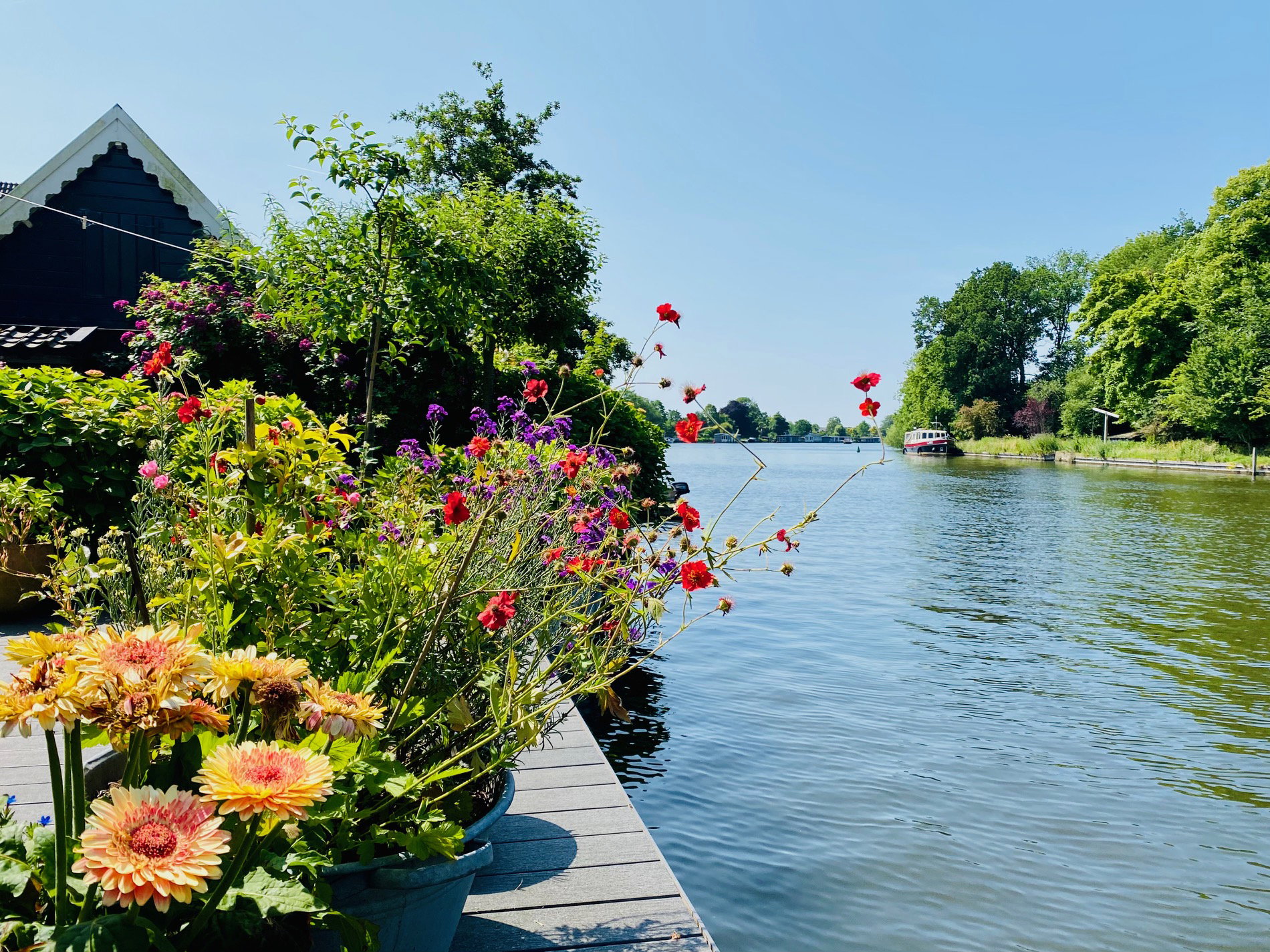 Casa nella natura a Loenen aan de Vecht