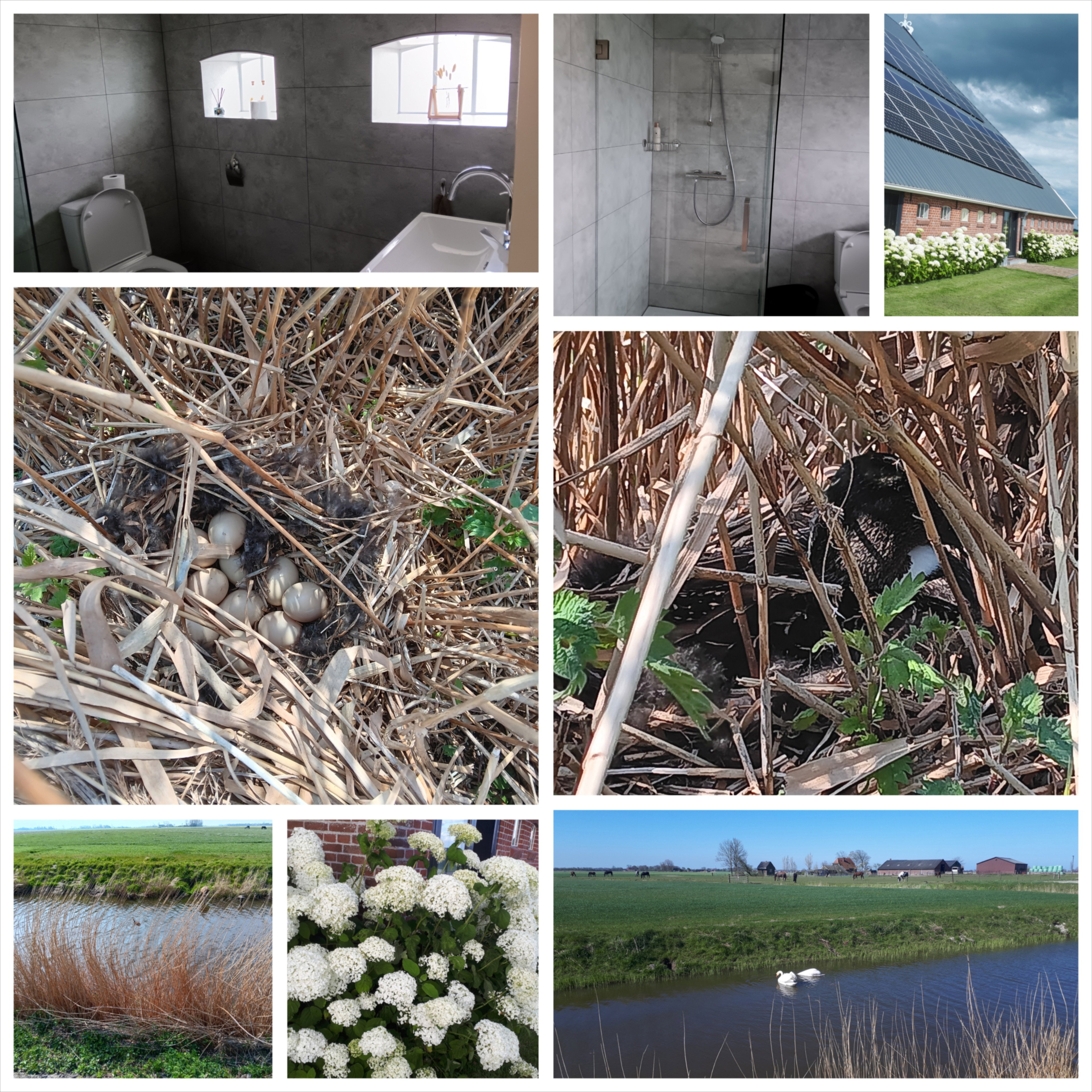 Casa nella natura a Blije