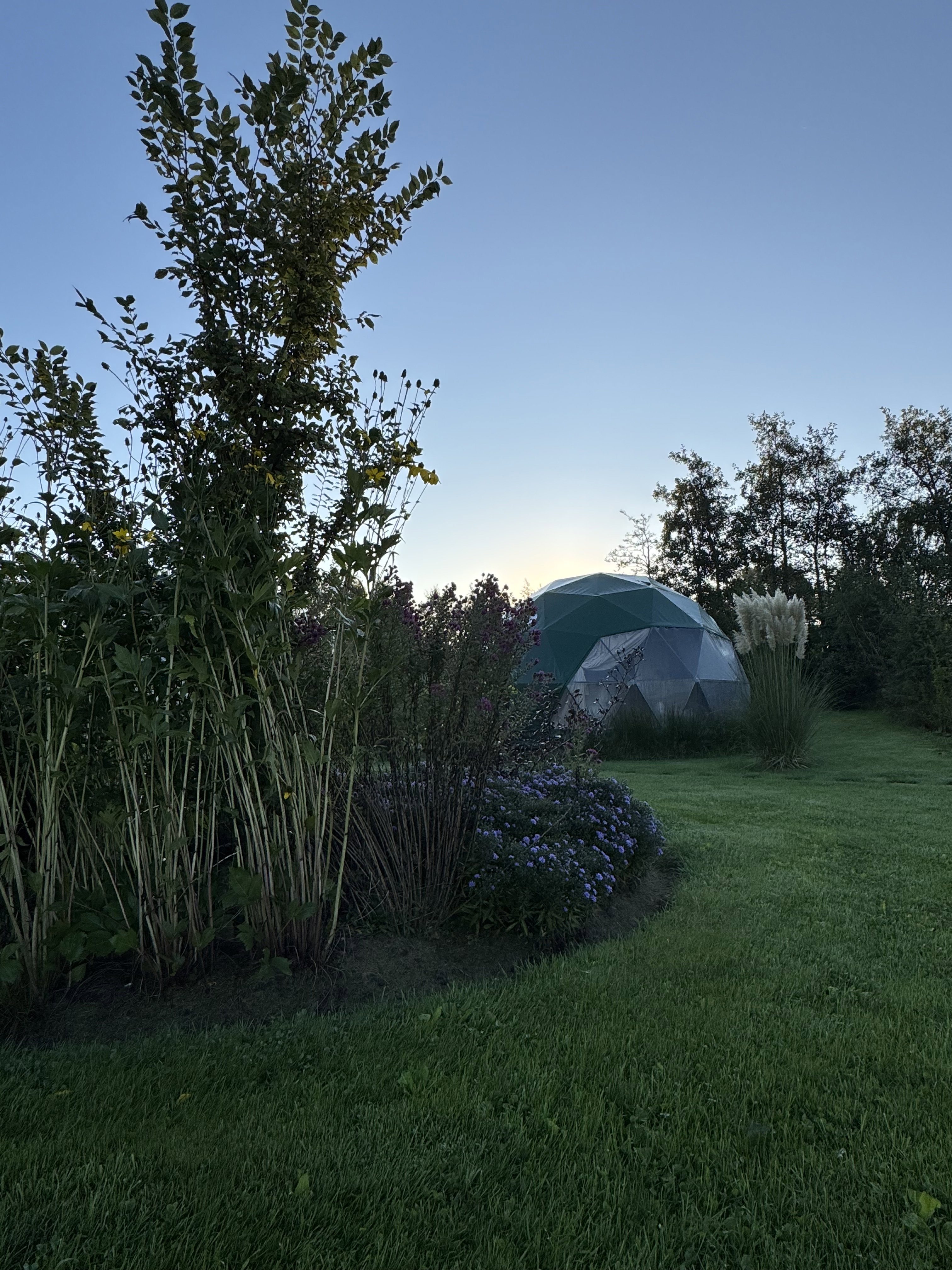 Natuurhuisje in Boelenslaan