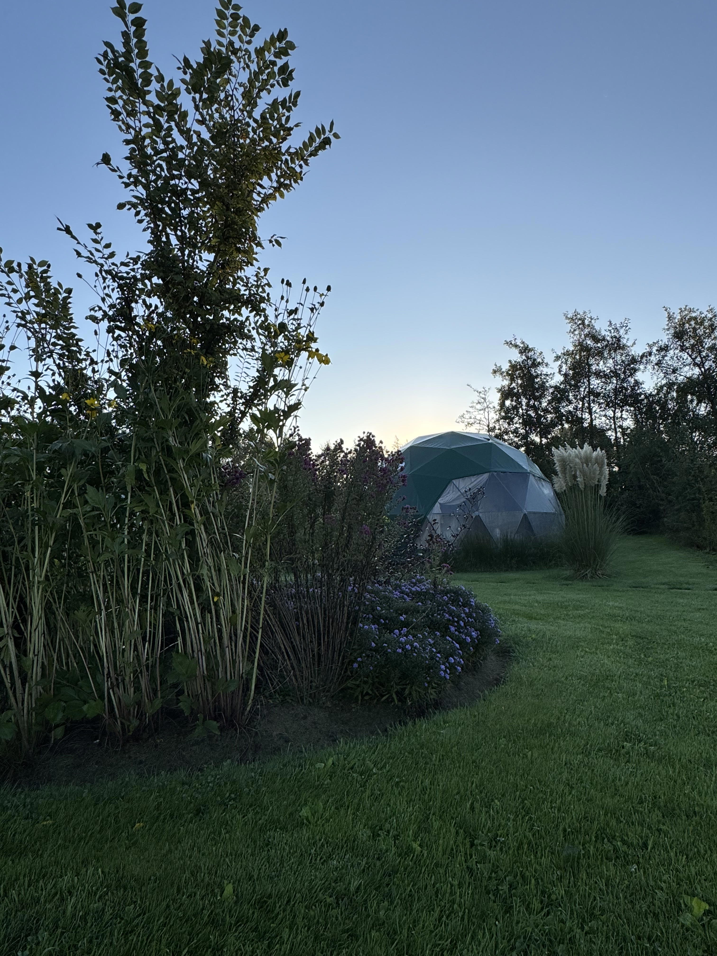 Natuurhuisje in Boelenslaan