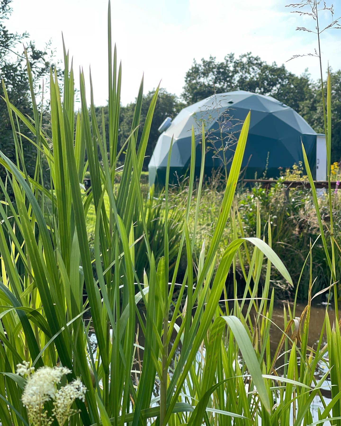 Natuurhuisje in Boelenslaan