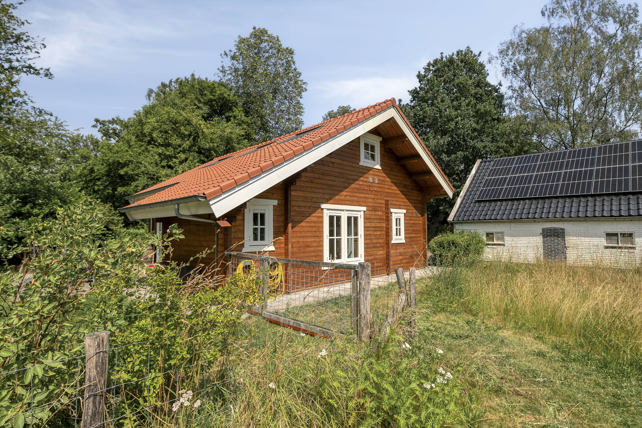 - image: 25