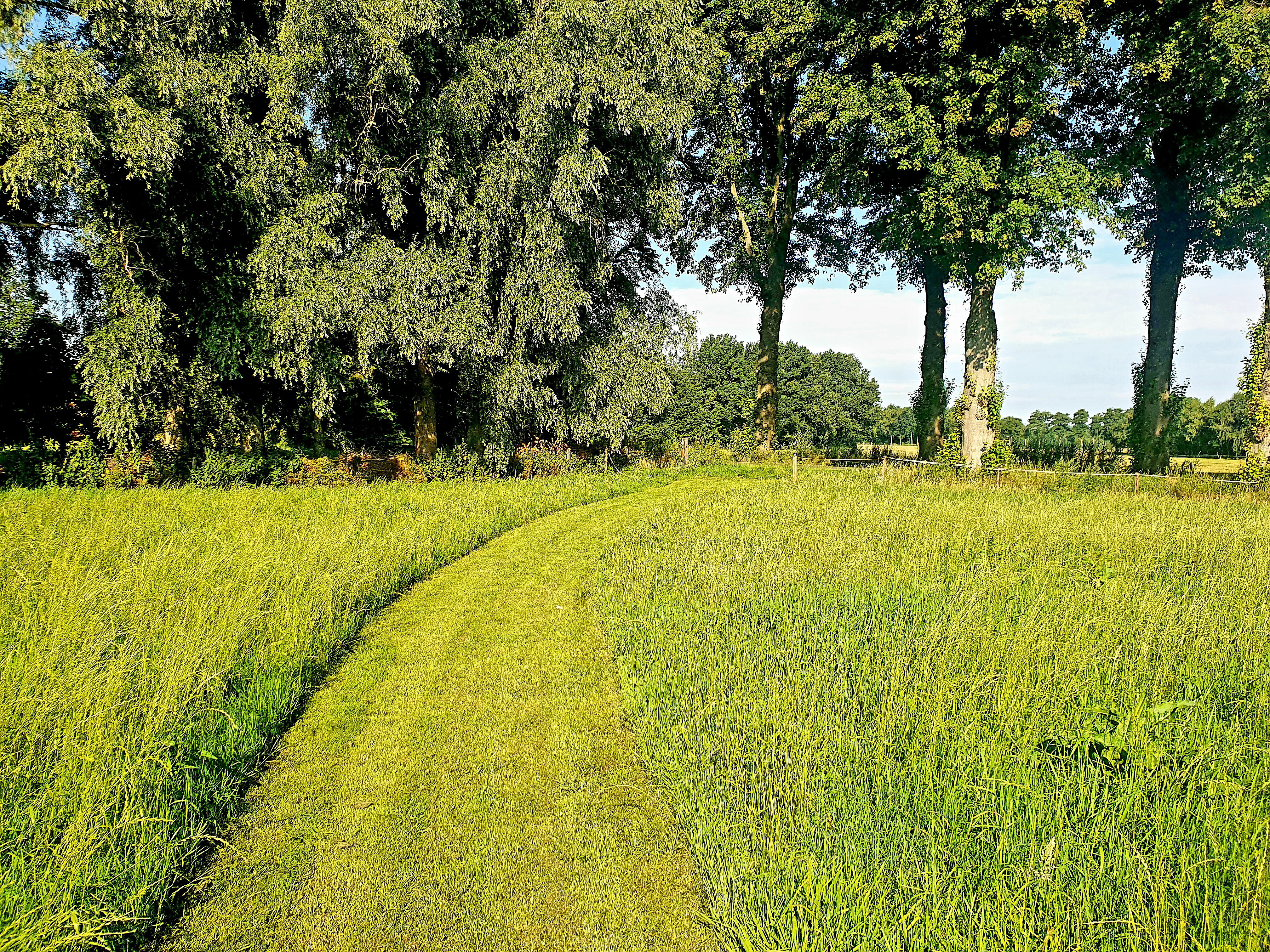 Natuurhuisje in Dedemsvaart