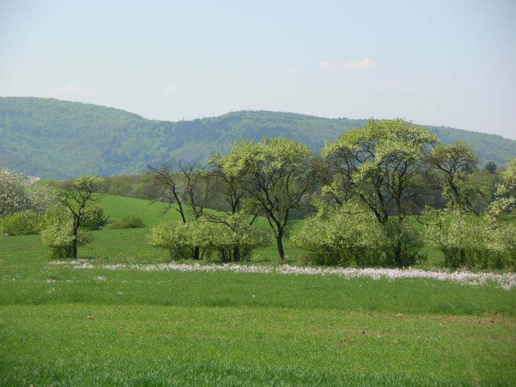 - image: 25