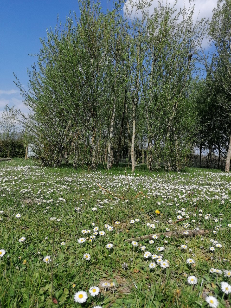 Naturhäuschen in Heers