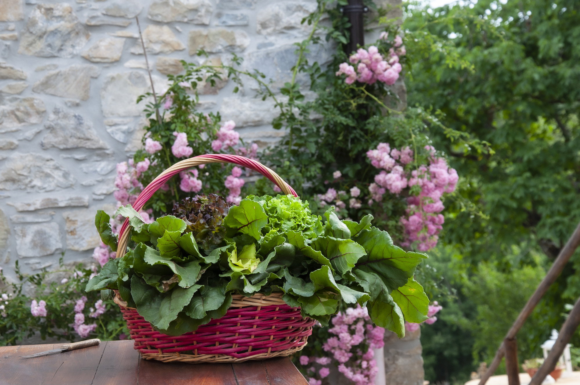 Casa nella natura a Casaselvatica (Berceto)